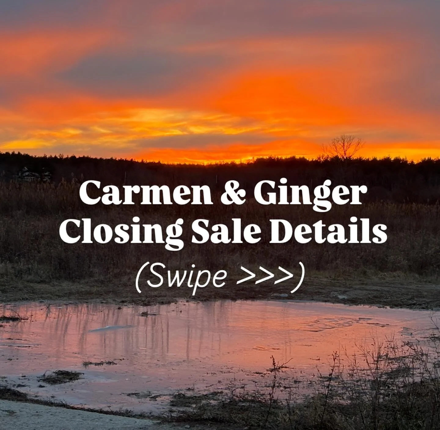 Please swipe through to see all details about how our closing sale will work! If you have a gift certificate or know someone who does; please have them contact me ASAP so that they can be redeemed.  Hours and sale % updated weekly.  We'll also share 