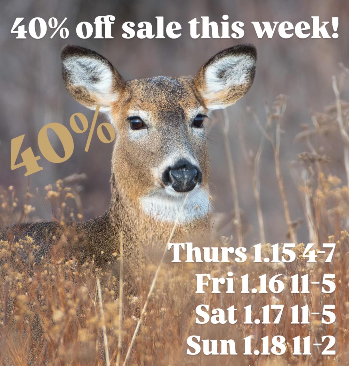 Our sale continues this week with all priced merchandise at 40% off!  We are still pulling previously-priced items out of the back and will have all Valentines. Easter, and Halloween items from the back out on the floor. We are also planning a fun cl