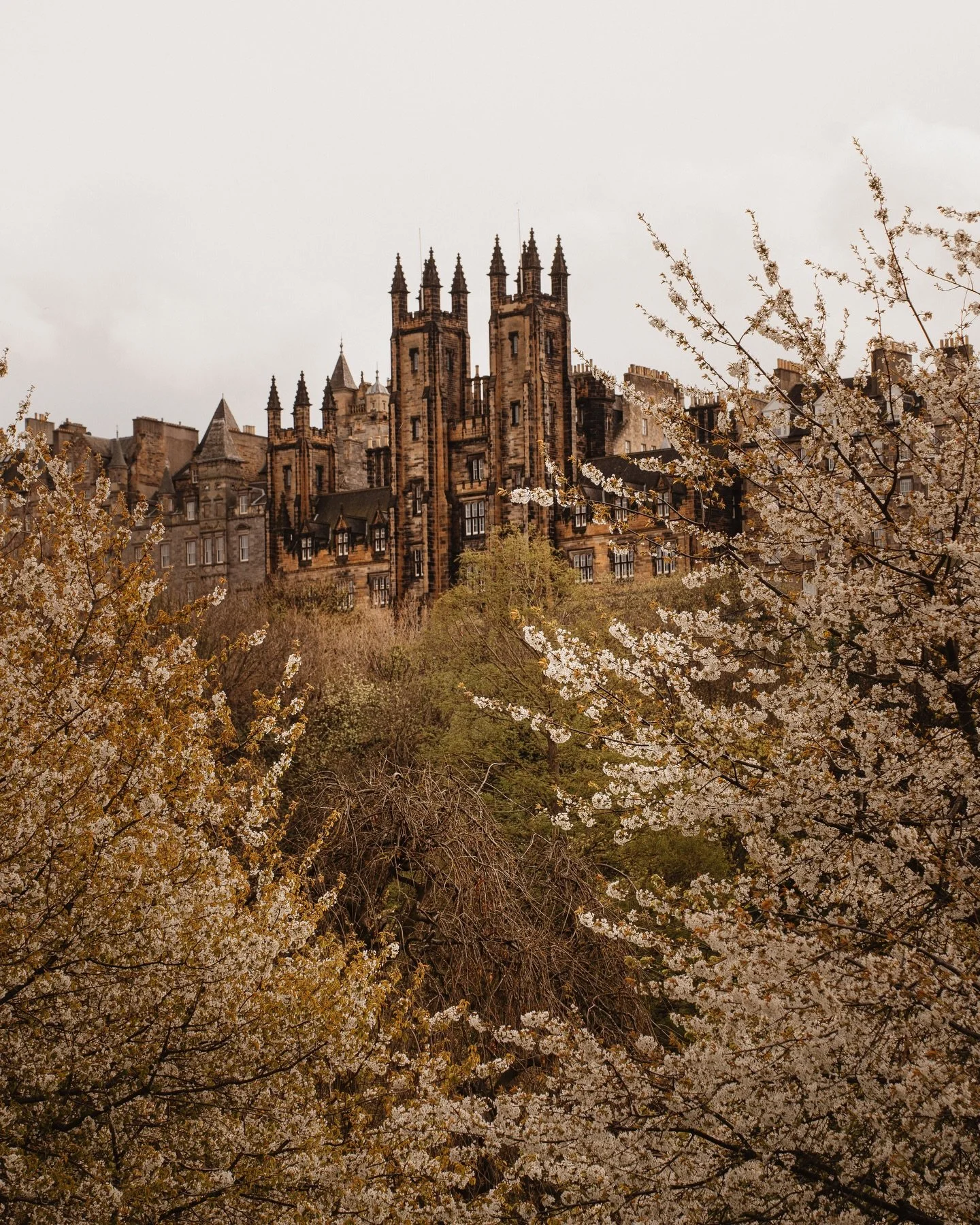 &ldquo;April is a moment of joy for those who have survived the winter.&rdquo; {Samuel Johnson}
~
A moment of appreciation for the soft, earthy colours of early spring - bare trees, brave blossom, tight buds. A moment of pause just before the bright 