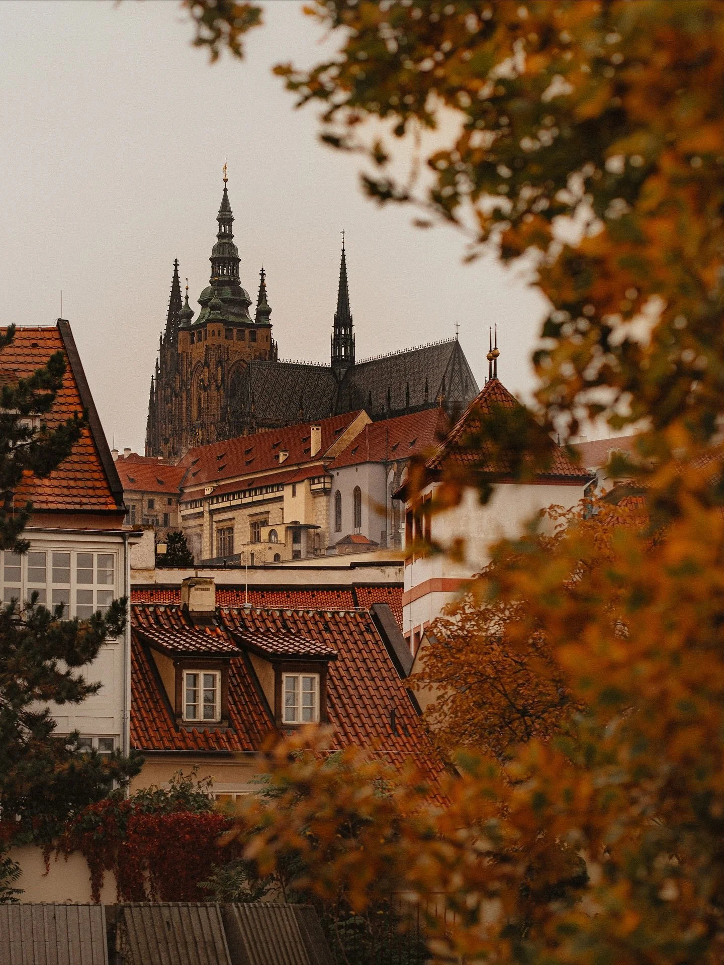 &ldquo;The streets of Prague were a fantasia scarcely touched by the twenty-first century&mdash;or the twentieth or nineteenth, for that matter. It was a city of alchemists and dreamers&hellip; The wind carried the memory of magic, revolution, violin