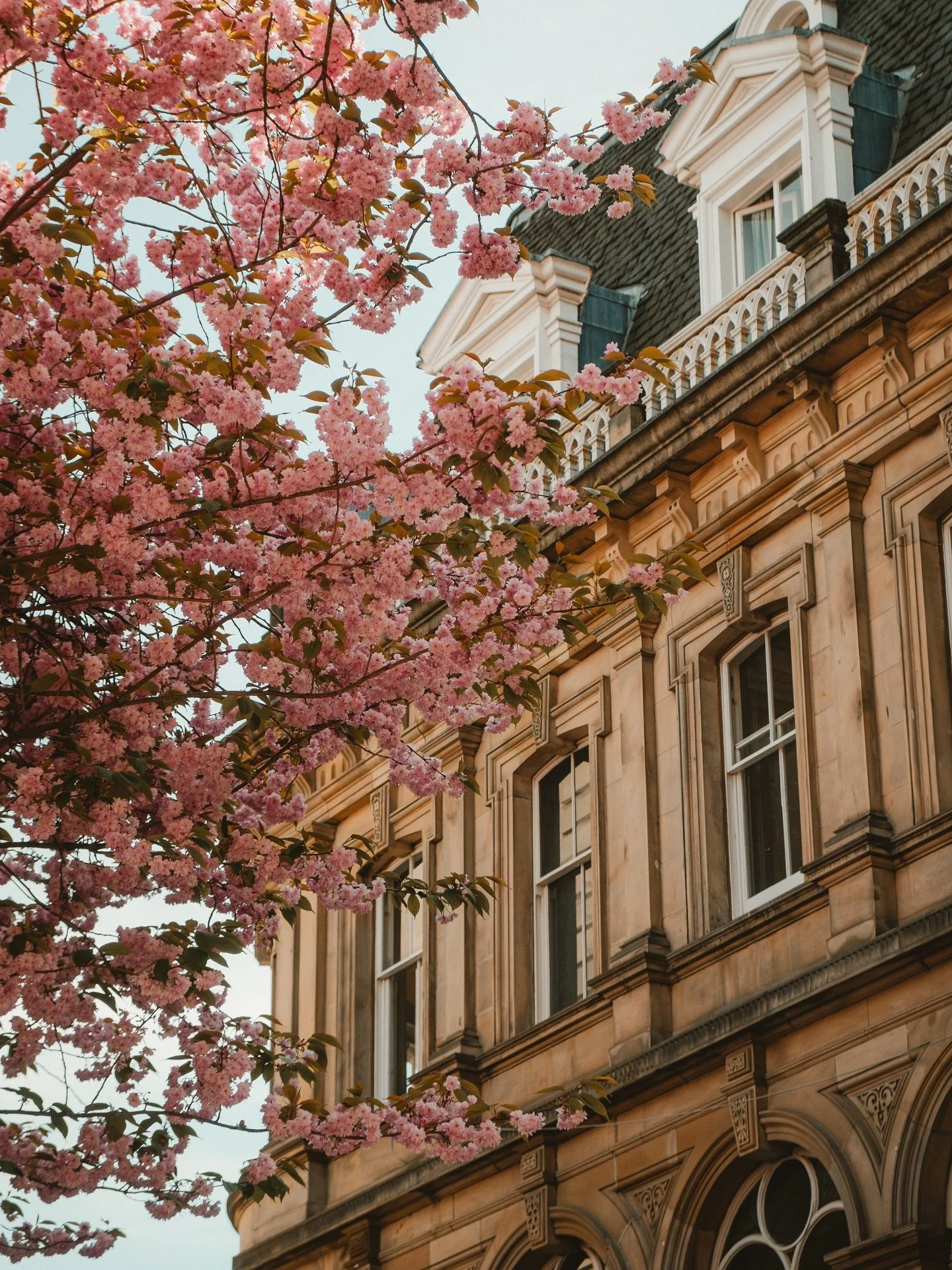 &ldquo;And now it&rsquo;s spring, so my ideas are always so nice, sharp, inventive, and the dreams I have are tender; everything is rose-coloured.&rdquo; {Fyodor Dostoevsky}
~
Rose-coloured Edinburgh 🌸💕
~
This little corner of the city does an exce