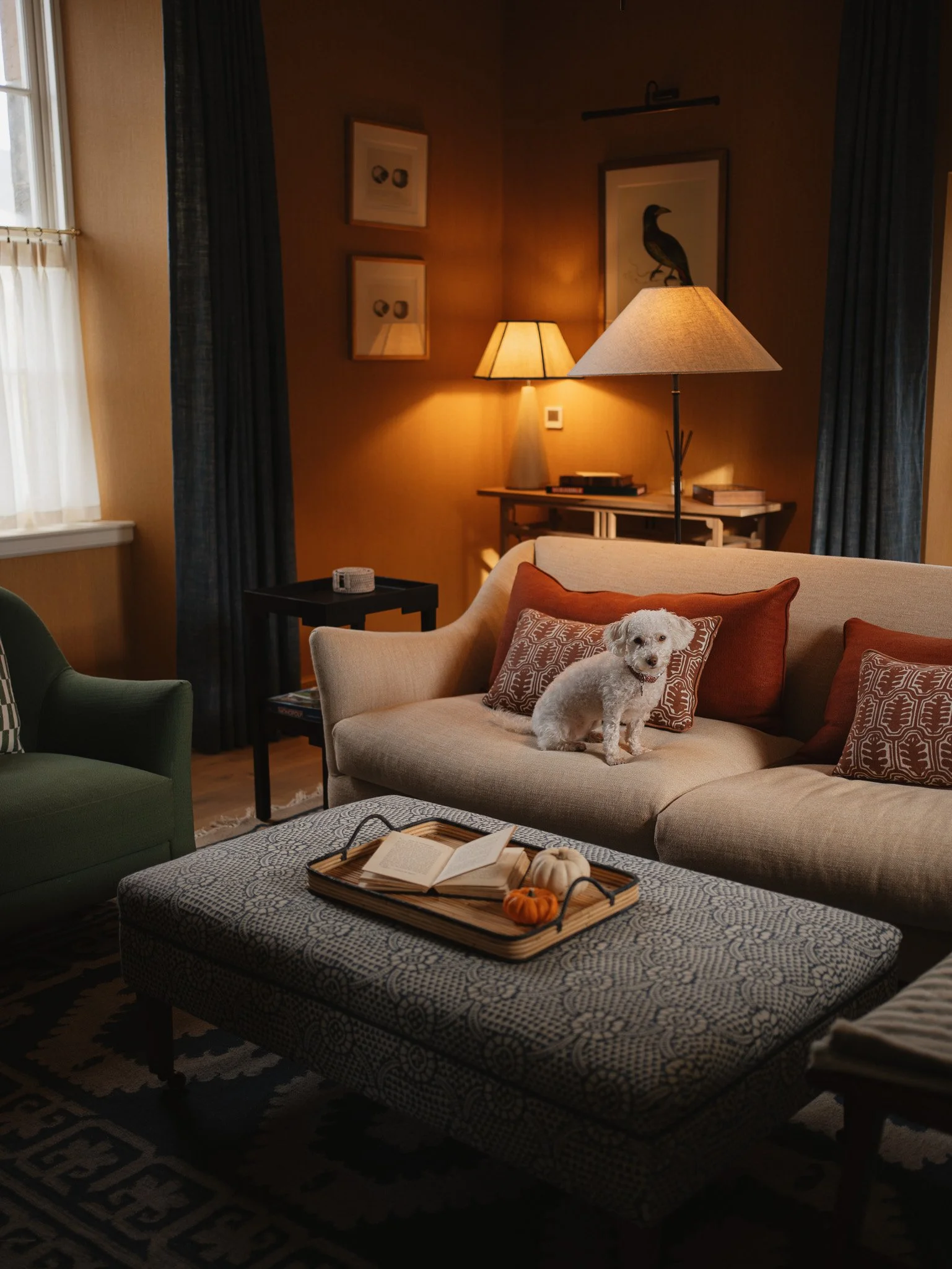 A cozy living room with a beige sofa, green armchair, and a patterned ottoman. A small white dog sits on the sofa. The room has warm lighting from a table lamp and wall lamps, with artwork and curtains on the walls. There is a tray with books and mini pumpkins on the ottoman.