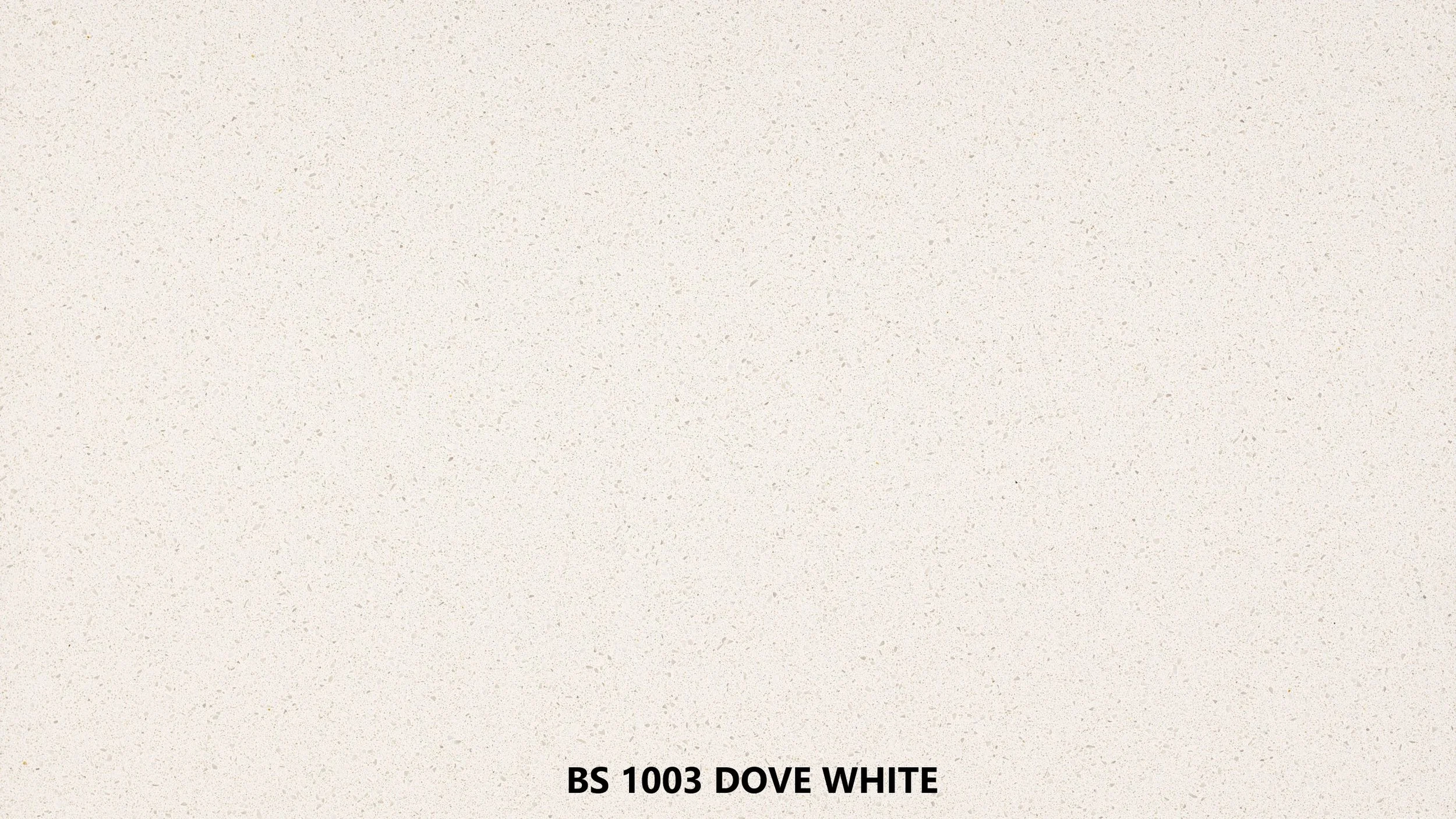 BS1003 Dove White.jpg