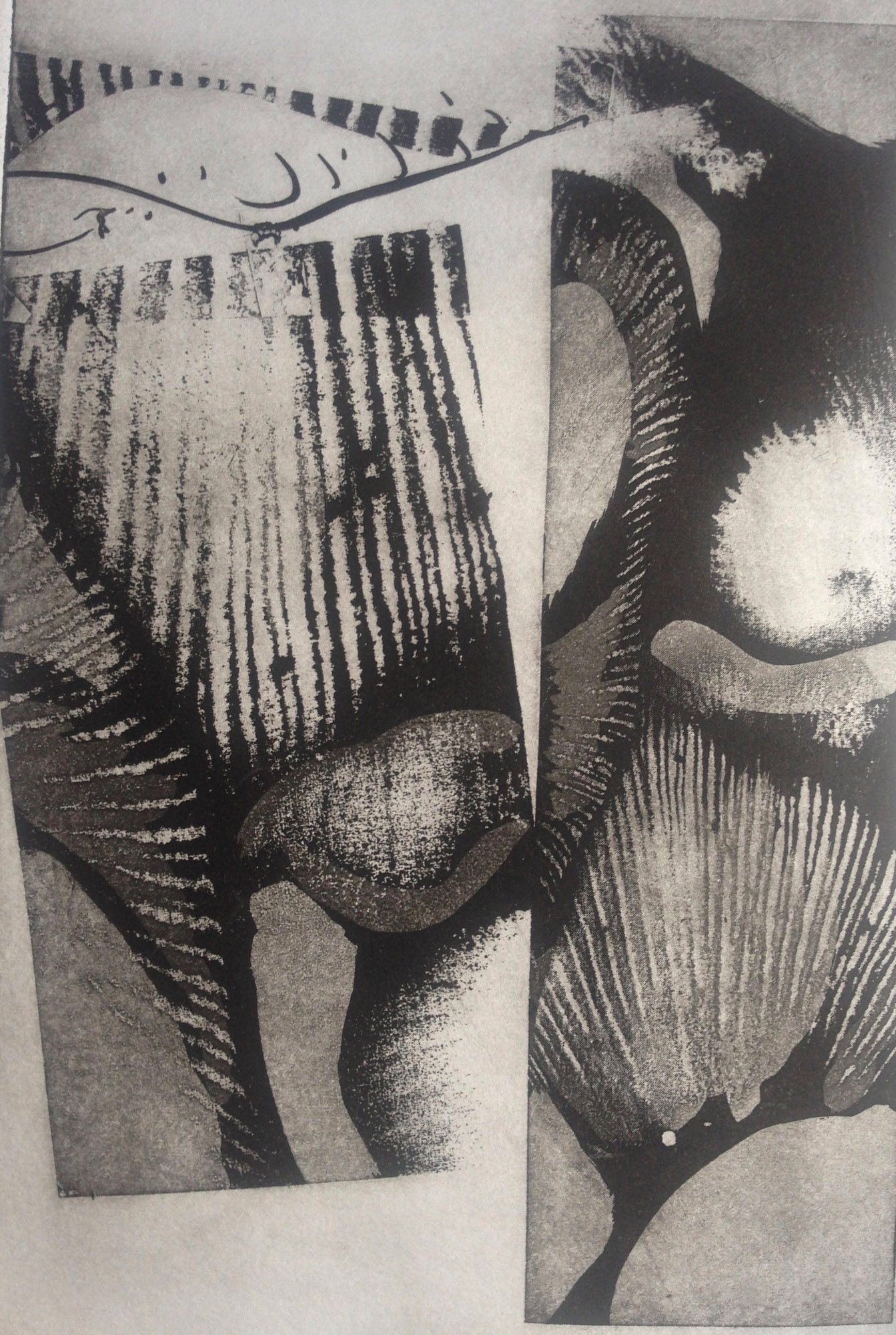 Gills and Net — monotype on paper