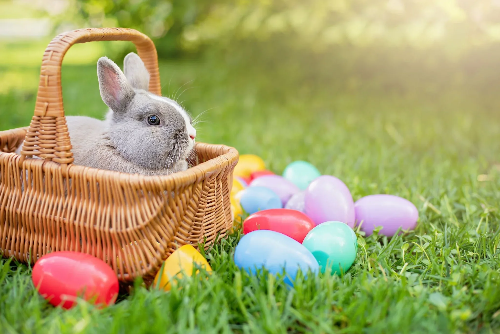 Happy Easter!