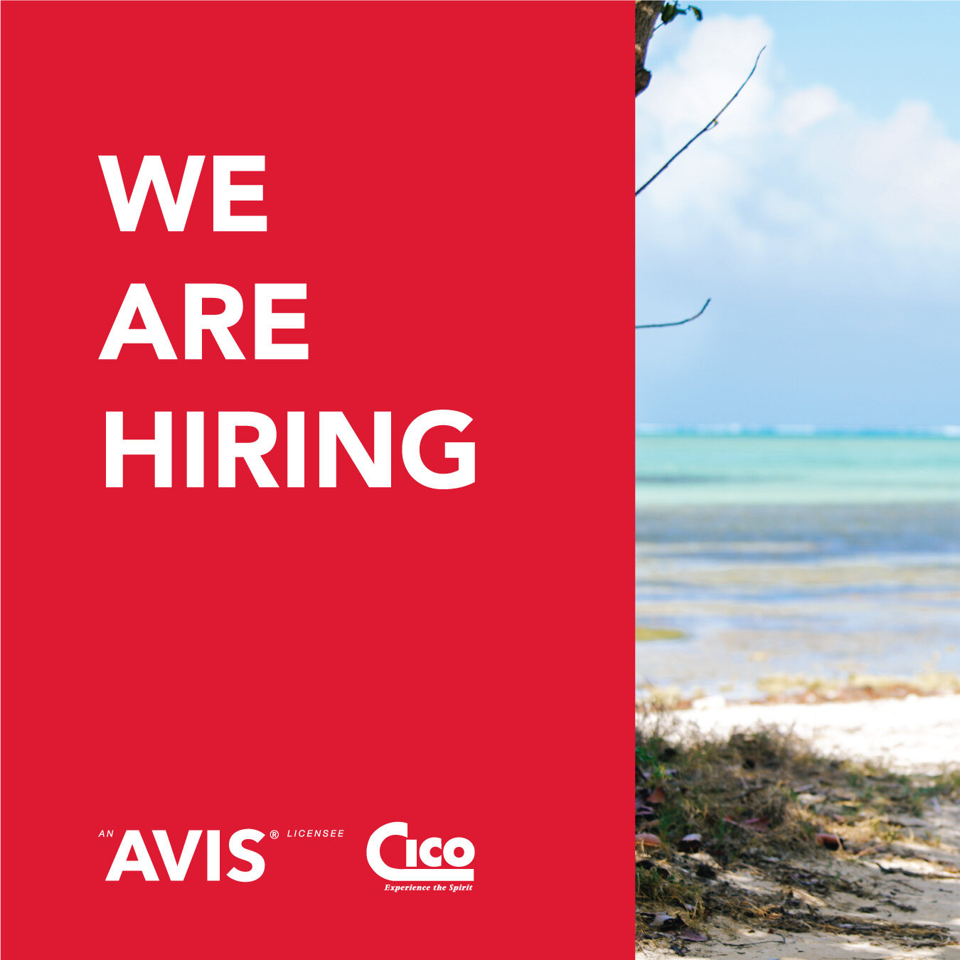 🔴 We're hiring!

If you&rsquo;re ready to become part of a dynamic team that values camaraderie and community, apply to join the Avis Cayman team, today!

For more information, head to the link in our bio ⬆️

#AvisCayman #Hiring