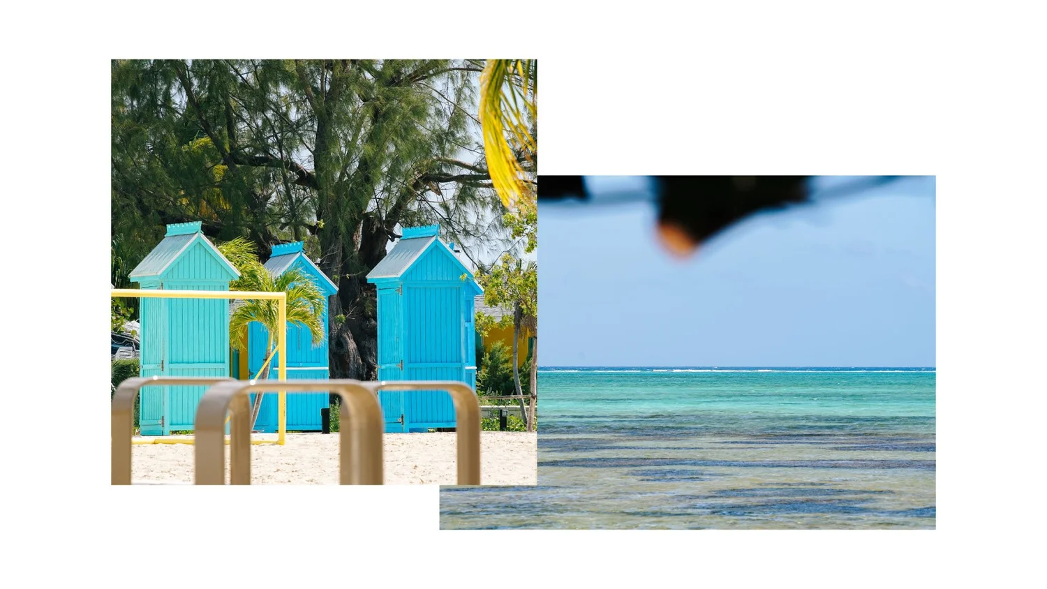 Rental Fleet — Avis Cayman