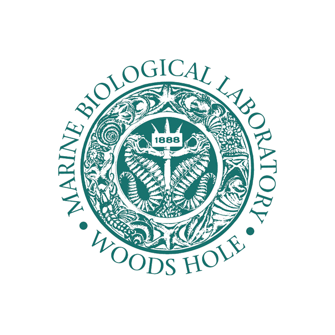 MBL-logo.png