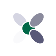 Center for Collective at Binghamton.png