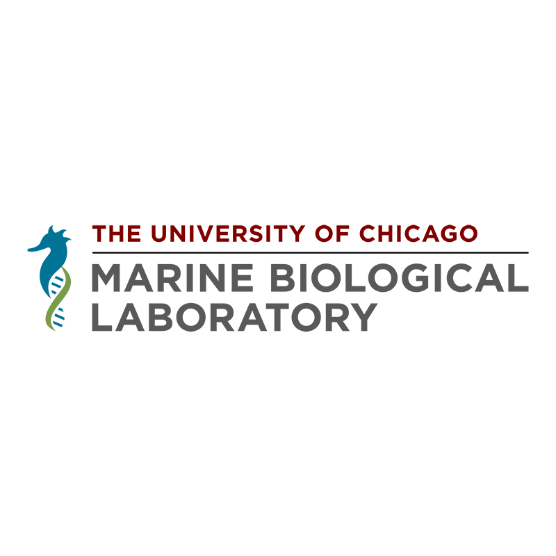 MBL_Logo_Color_RGB(2).png