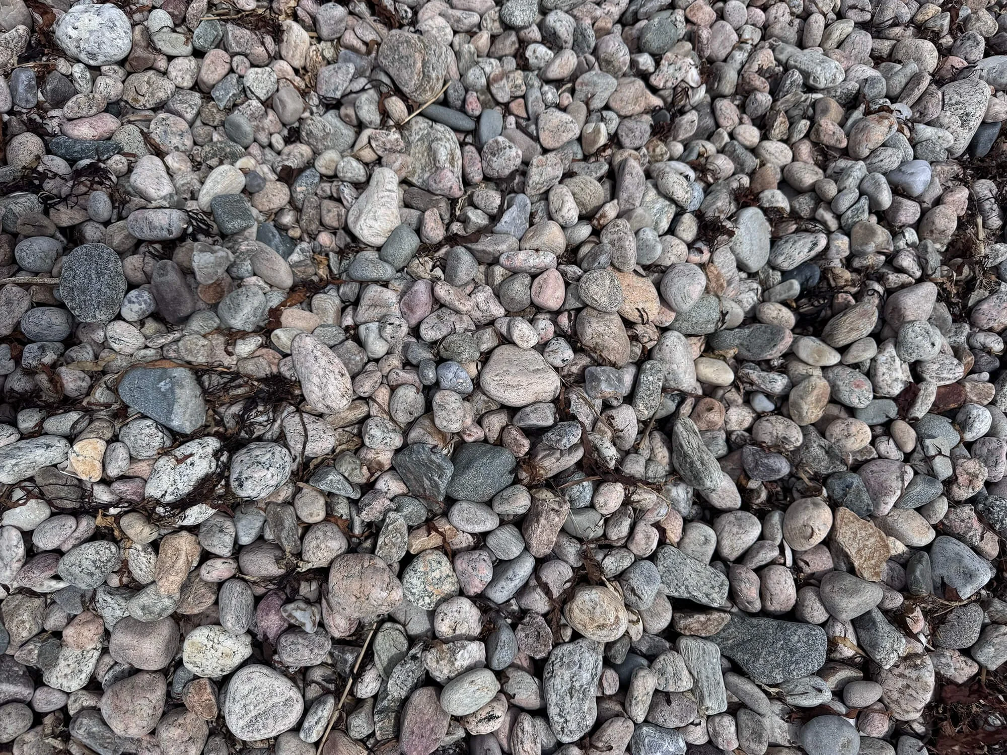 A collection of small rocks