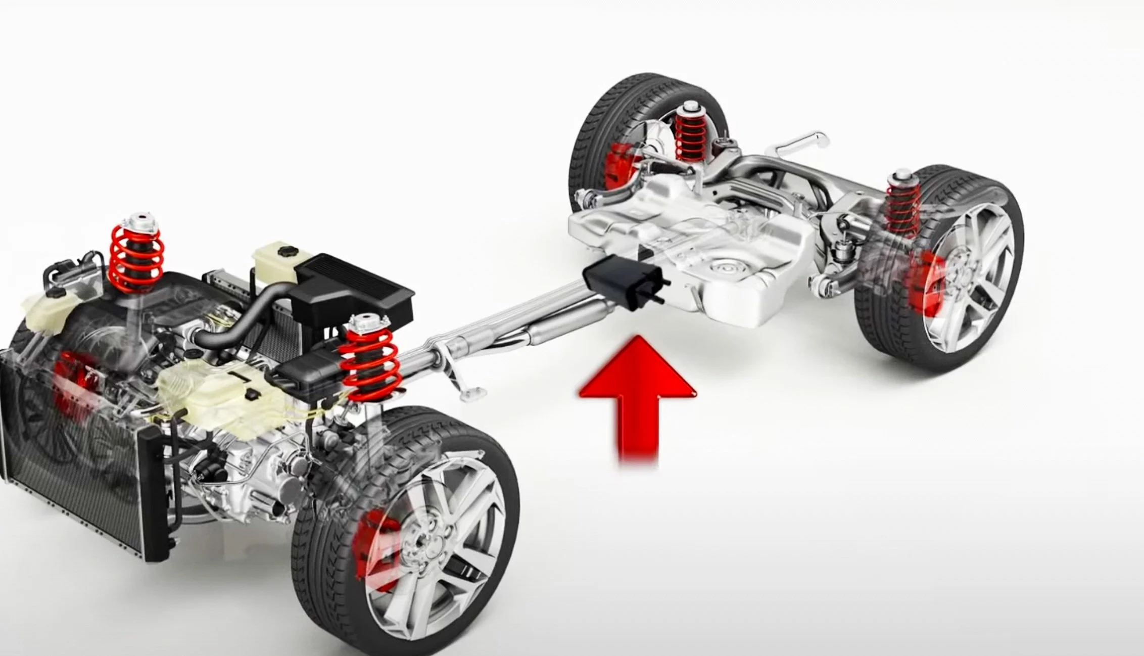 location of the evap canister