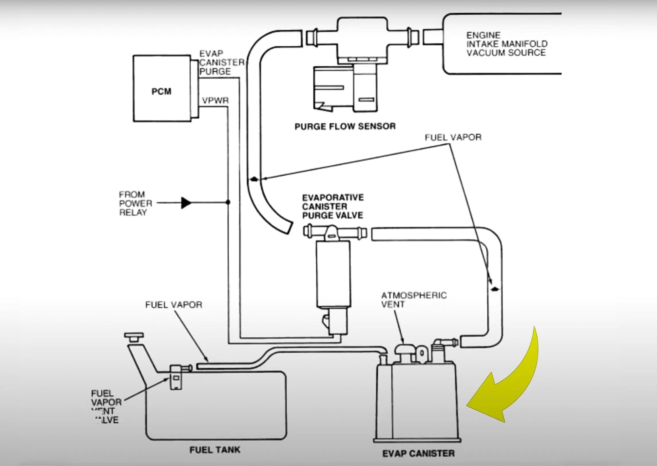purpose of the evap canister