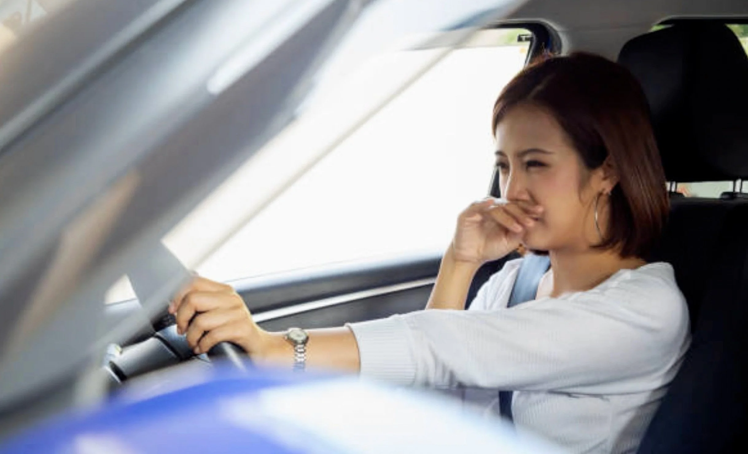 fuel smell - a symptom of a bad evap canister