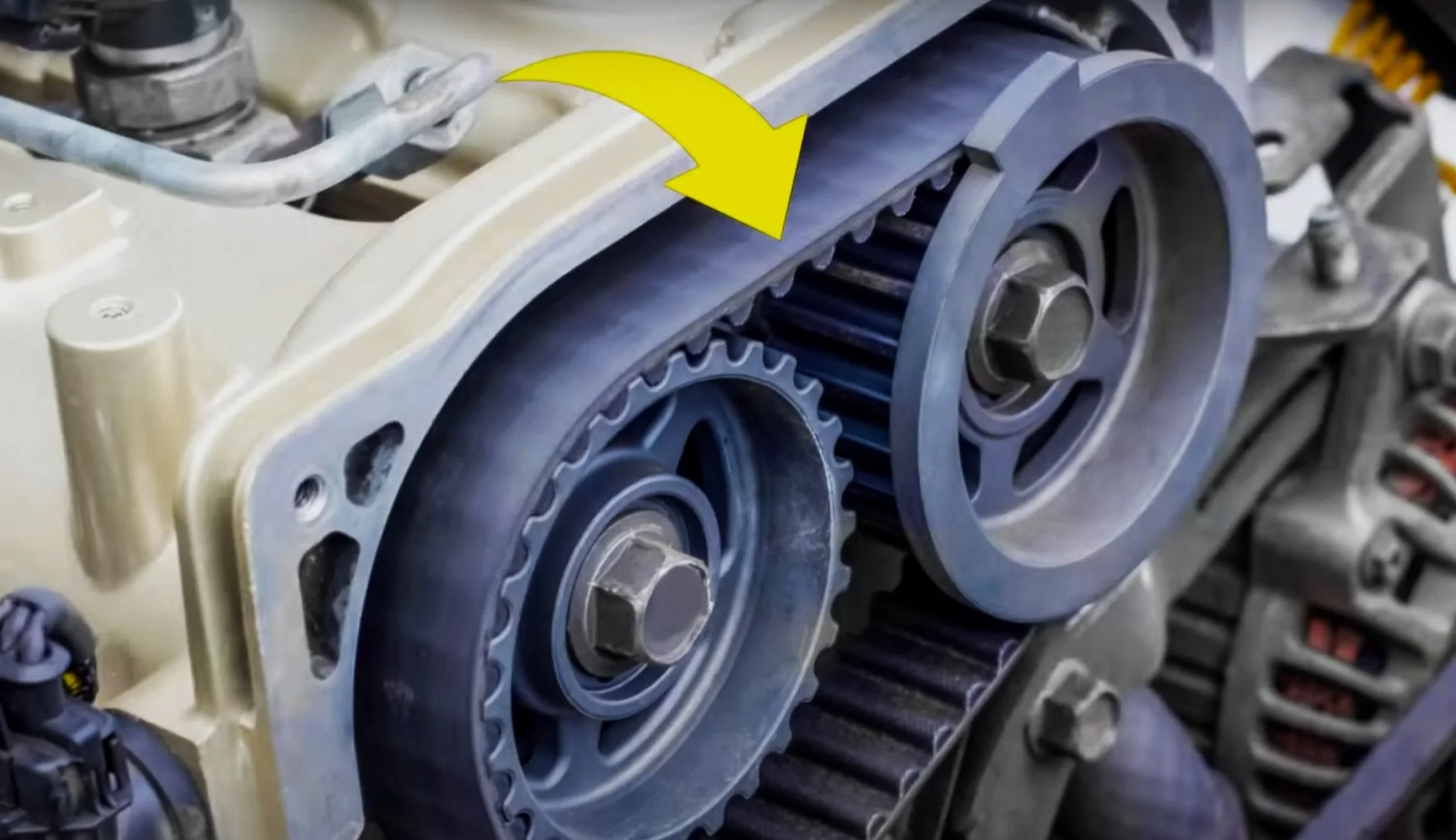 the location of the timing belt & timing chain