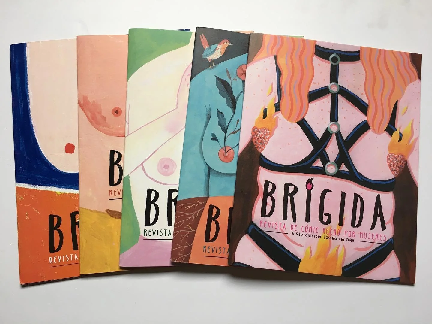 Revista Brigida