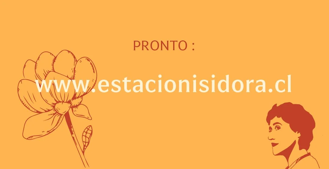 Mesa de trabajo 16 copia 8-100.jpg