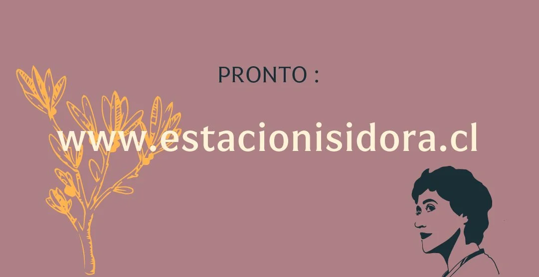 Mesa de trabajo 16 copia 9-100.jpg