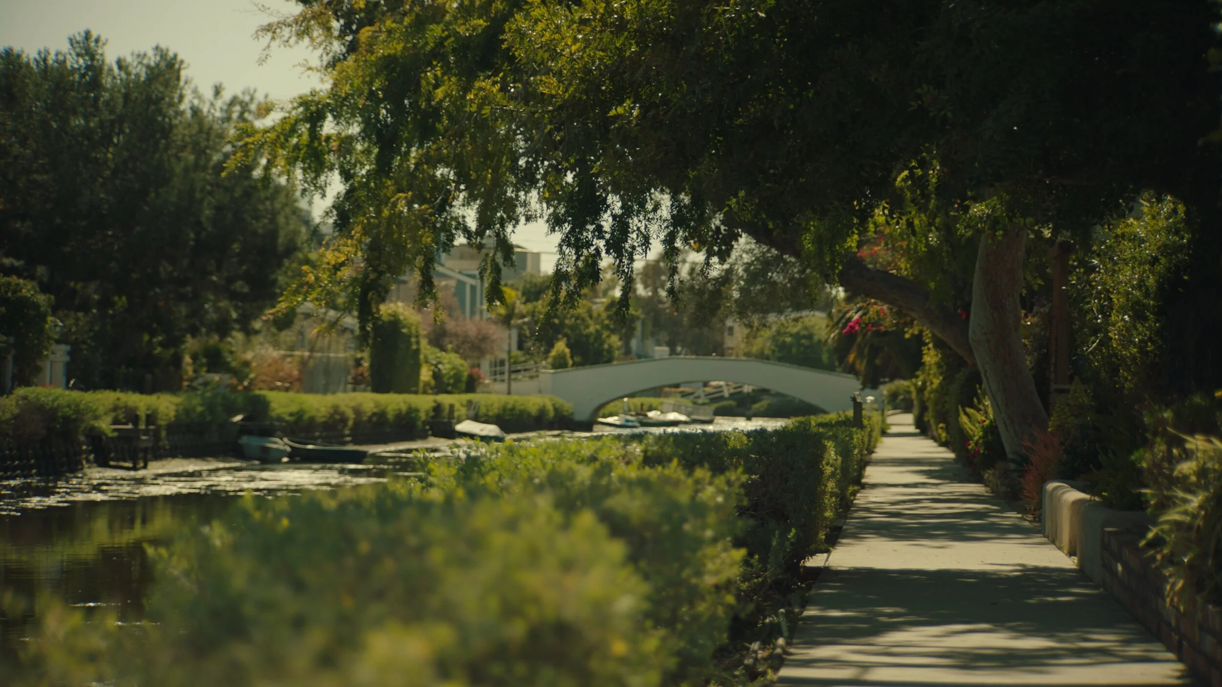 Still from the short film, FOR GOOD. A peaceful sidewalk beside a canal with boats, lined with lush green trees and shrubs, with a small arched white bridge in the background.