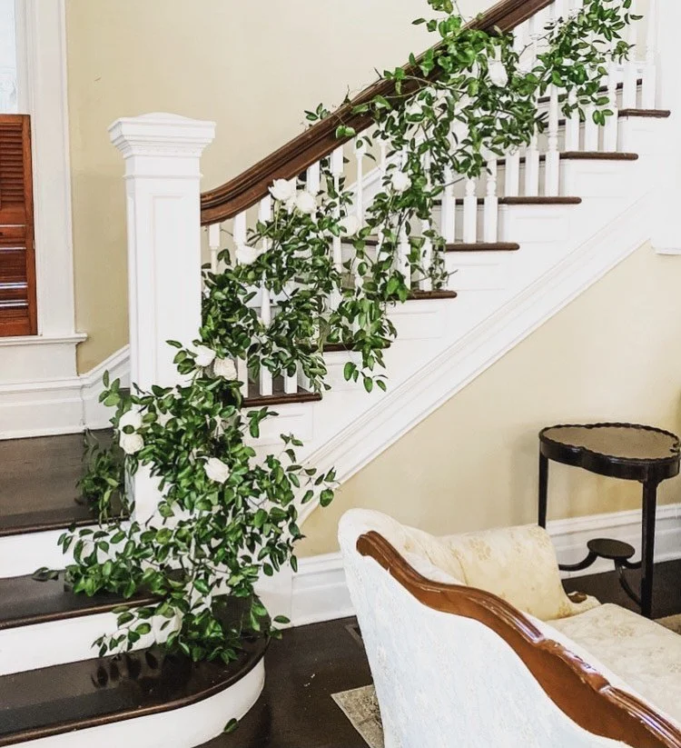 image_6487327 (7).JPG