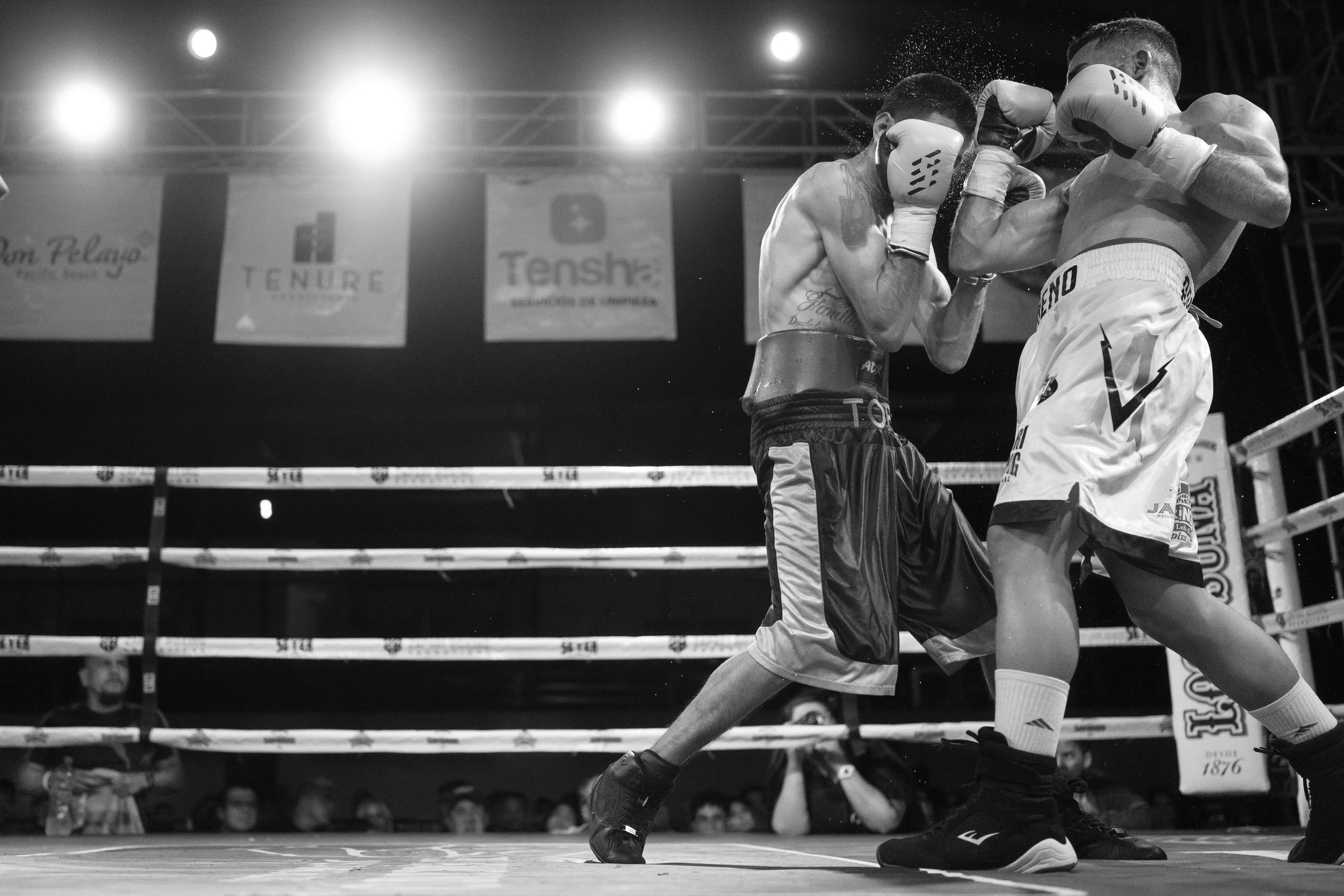 KNOCKOUT