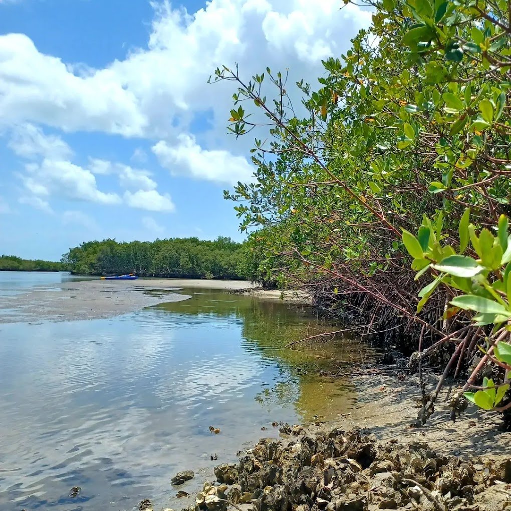 callalisa creek.jpg