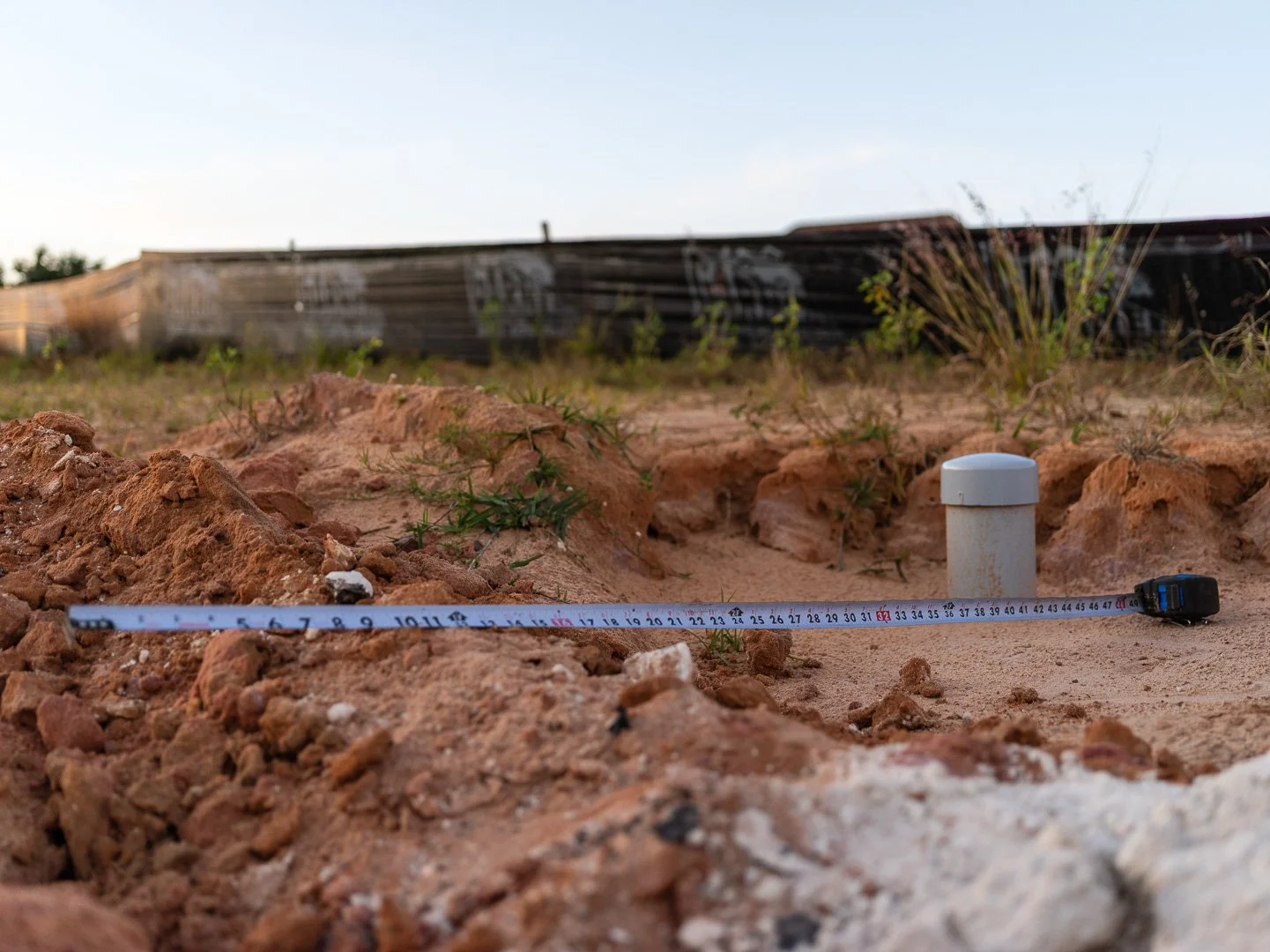 There Used to Be Trees