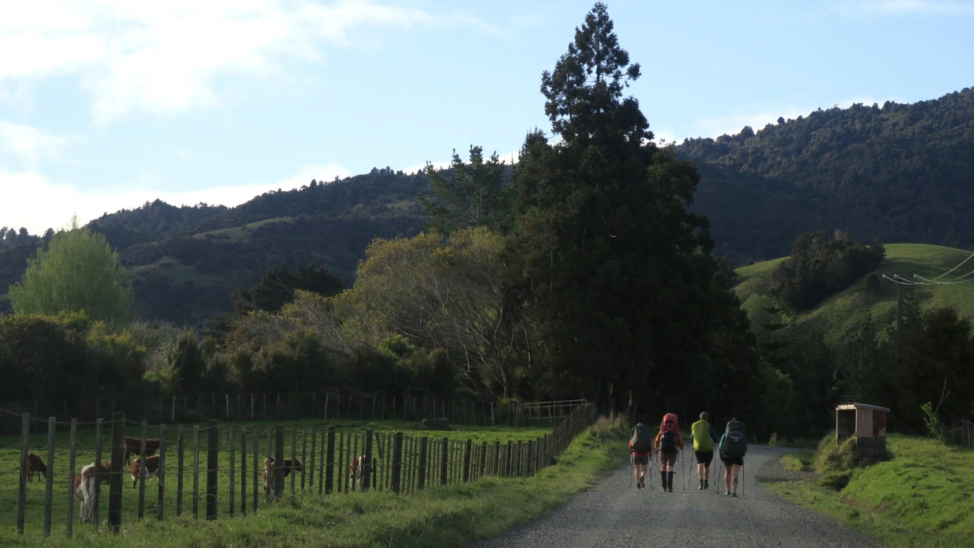 new zealand 2018 5.JPG