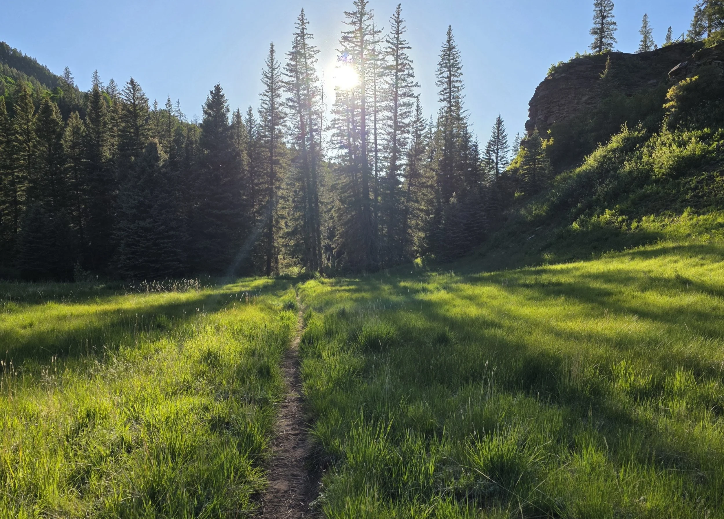 Mapping the Route: How to Find the Right Market for Your Brand