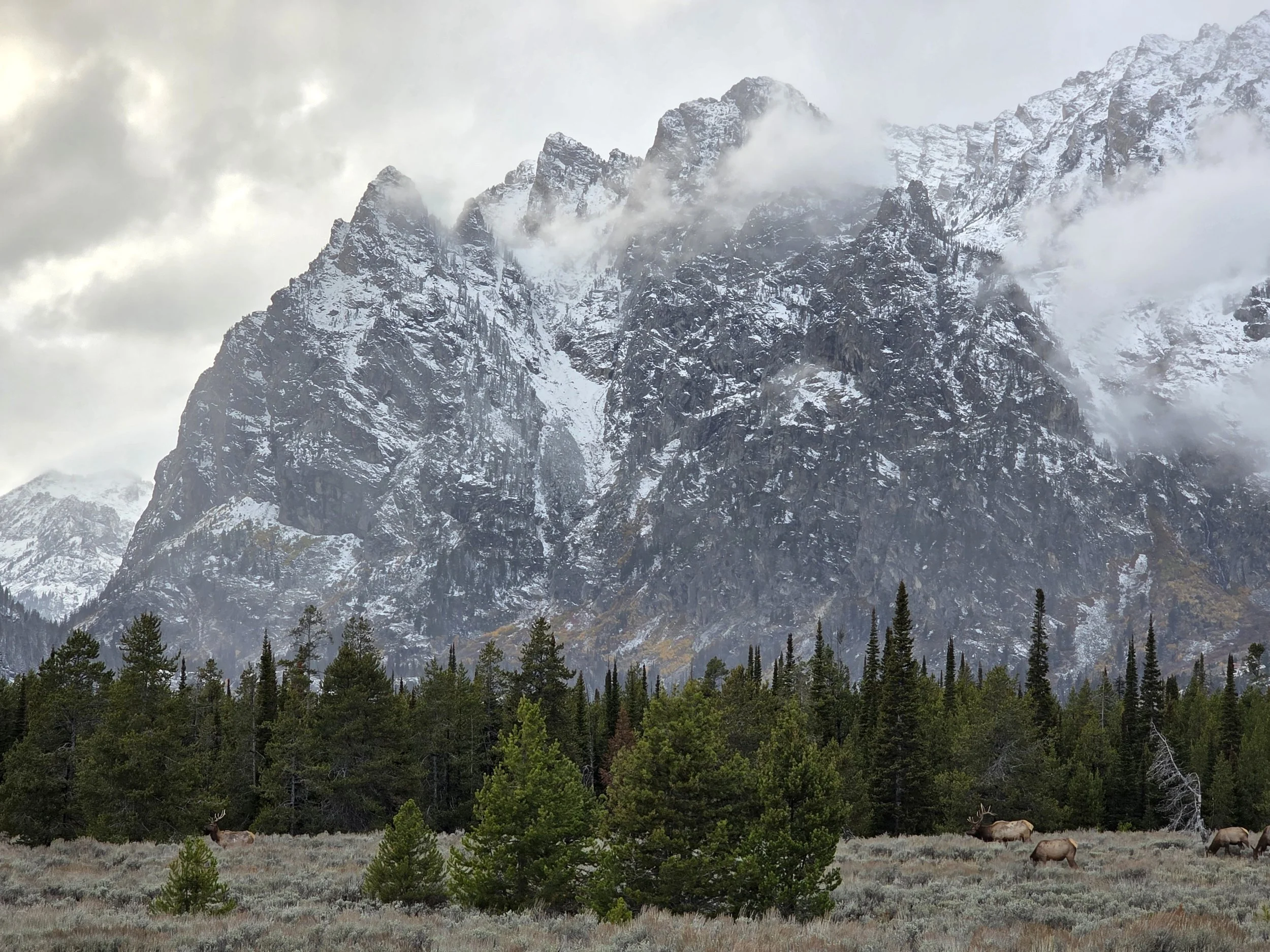 teton 2025.jpg