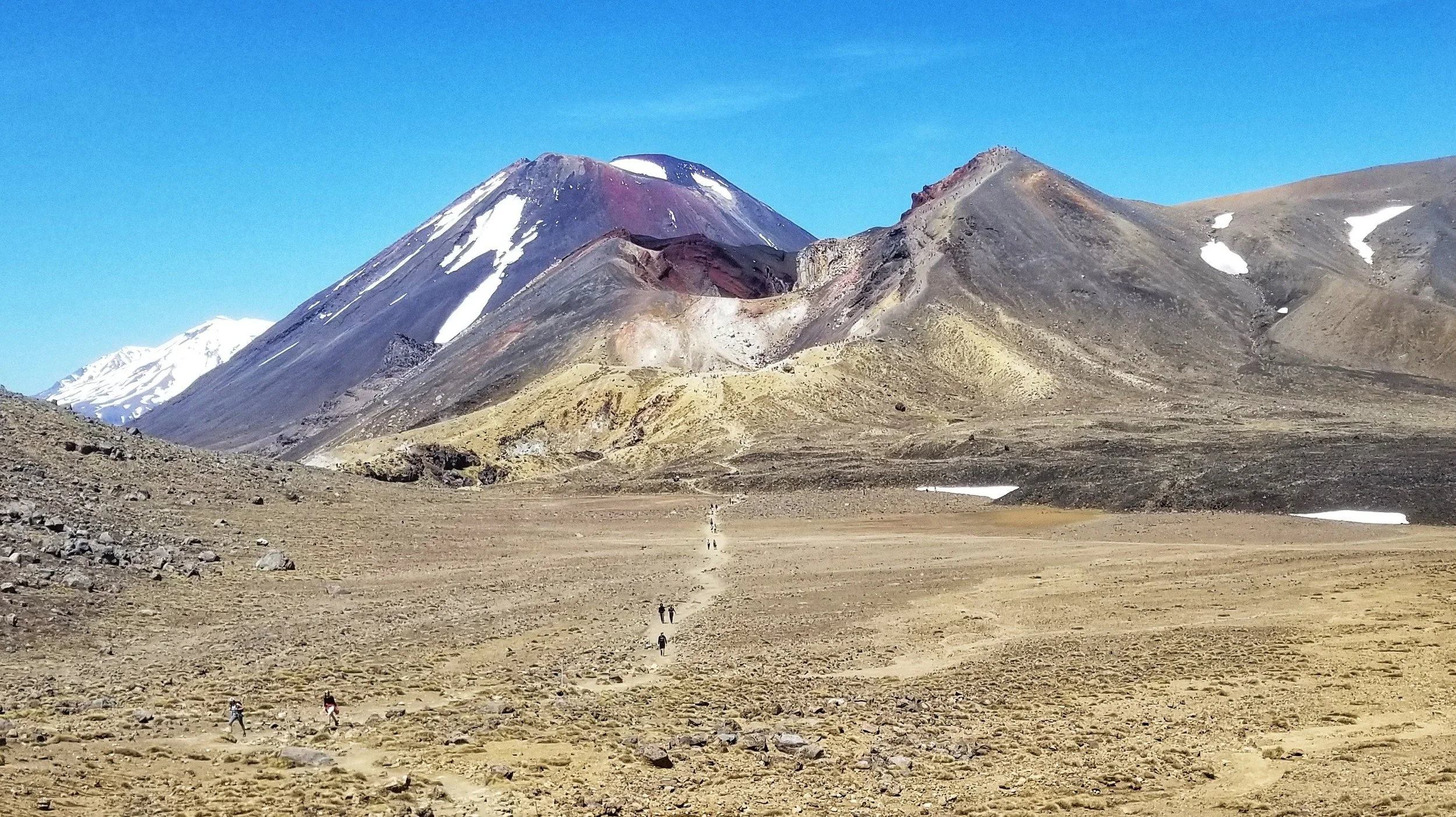 new zealand 2018 3.jpeg