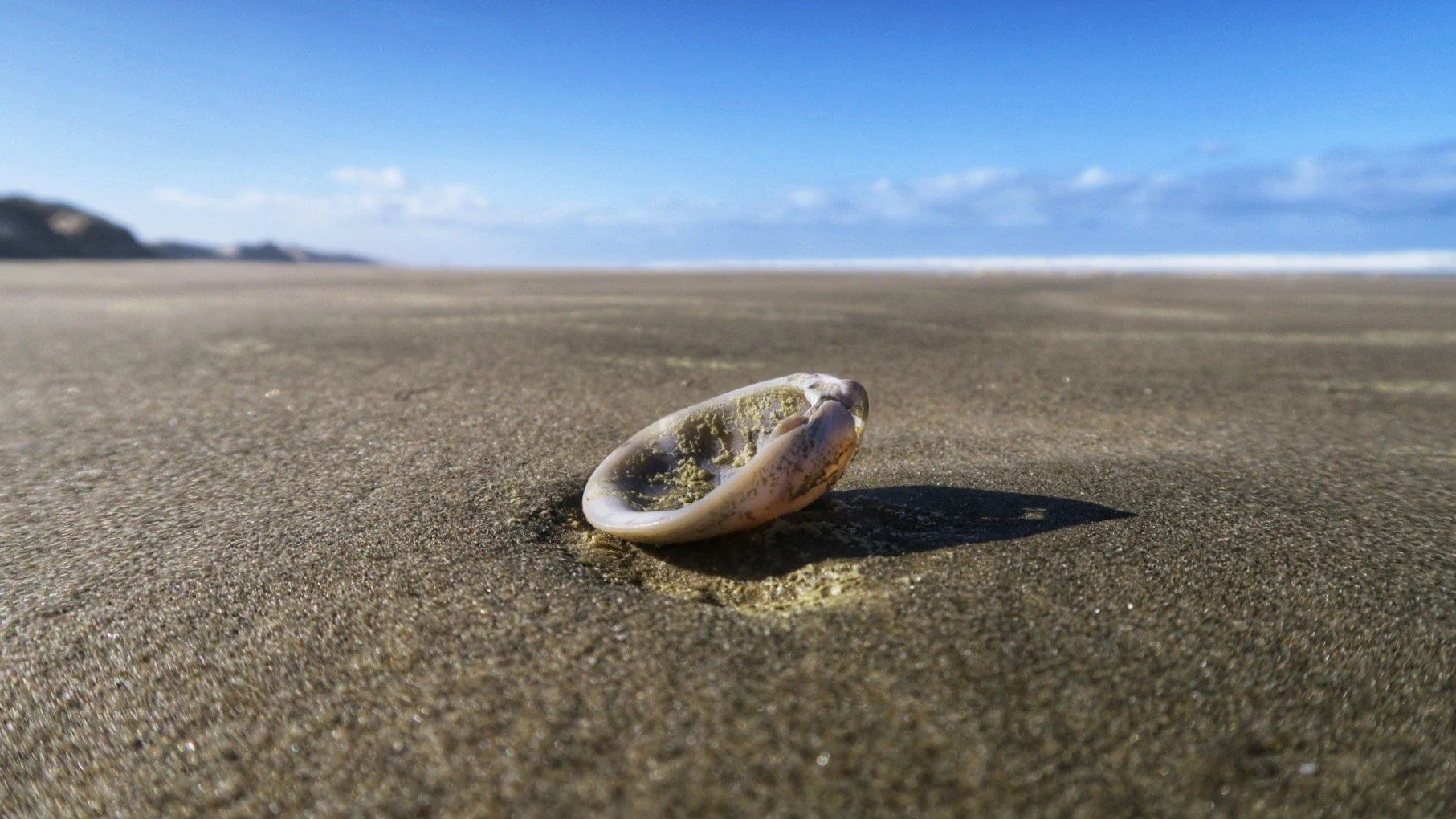 new zealand 2018 4.jpeg