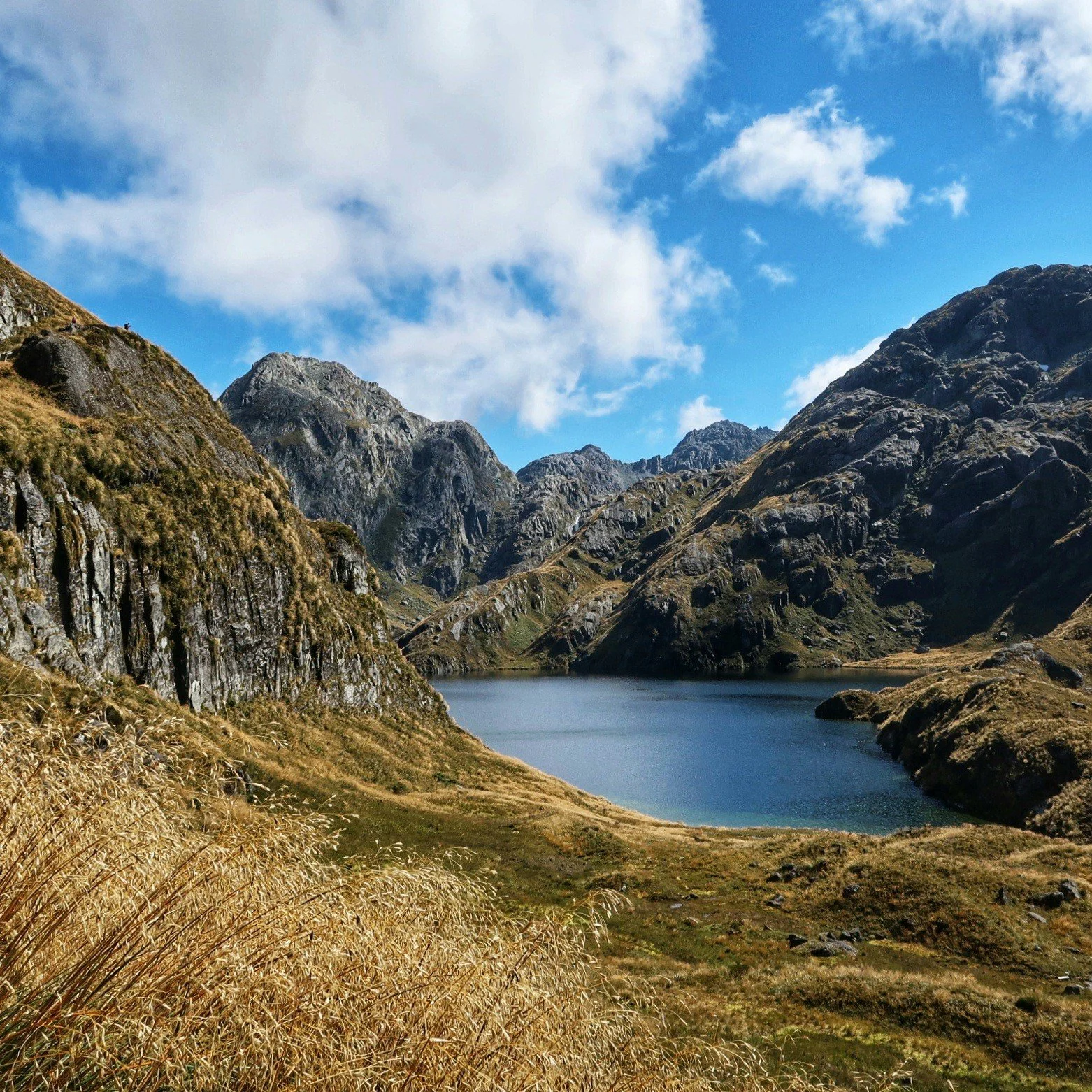 new zealand 2019.jpg