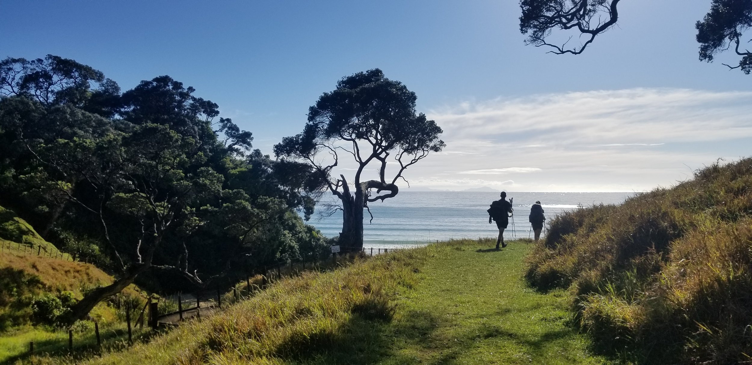 new zealand 2018.jpg