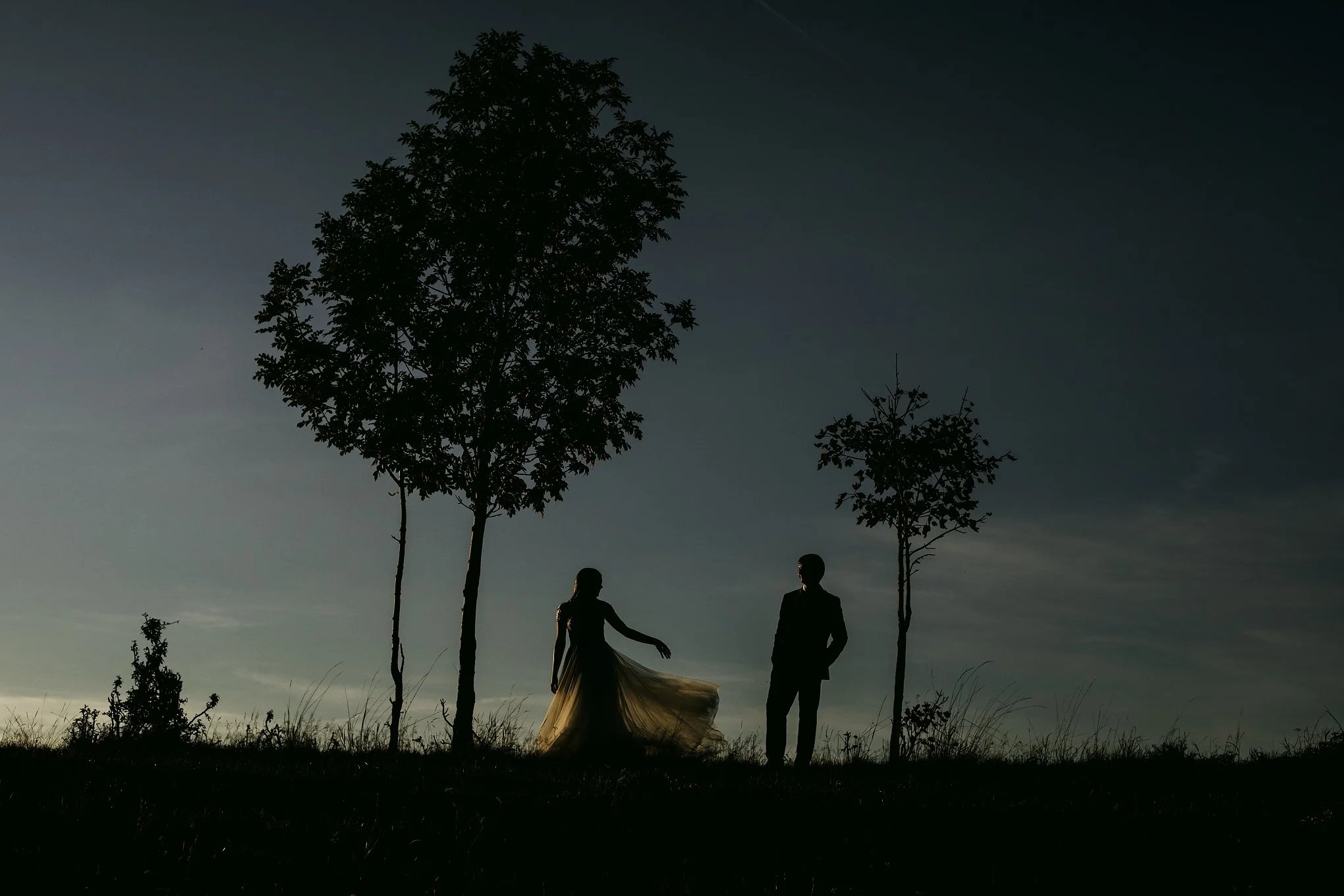 Silhouettes of a woman and a man standing outdoors between two trees during sunset or twilight.