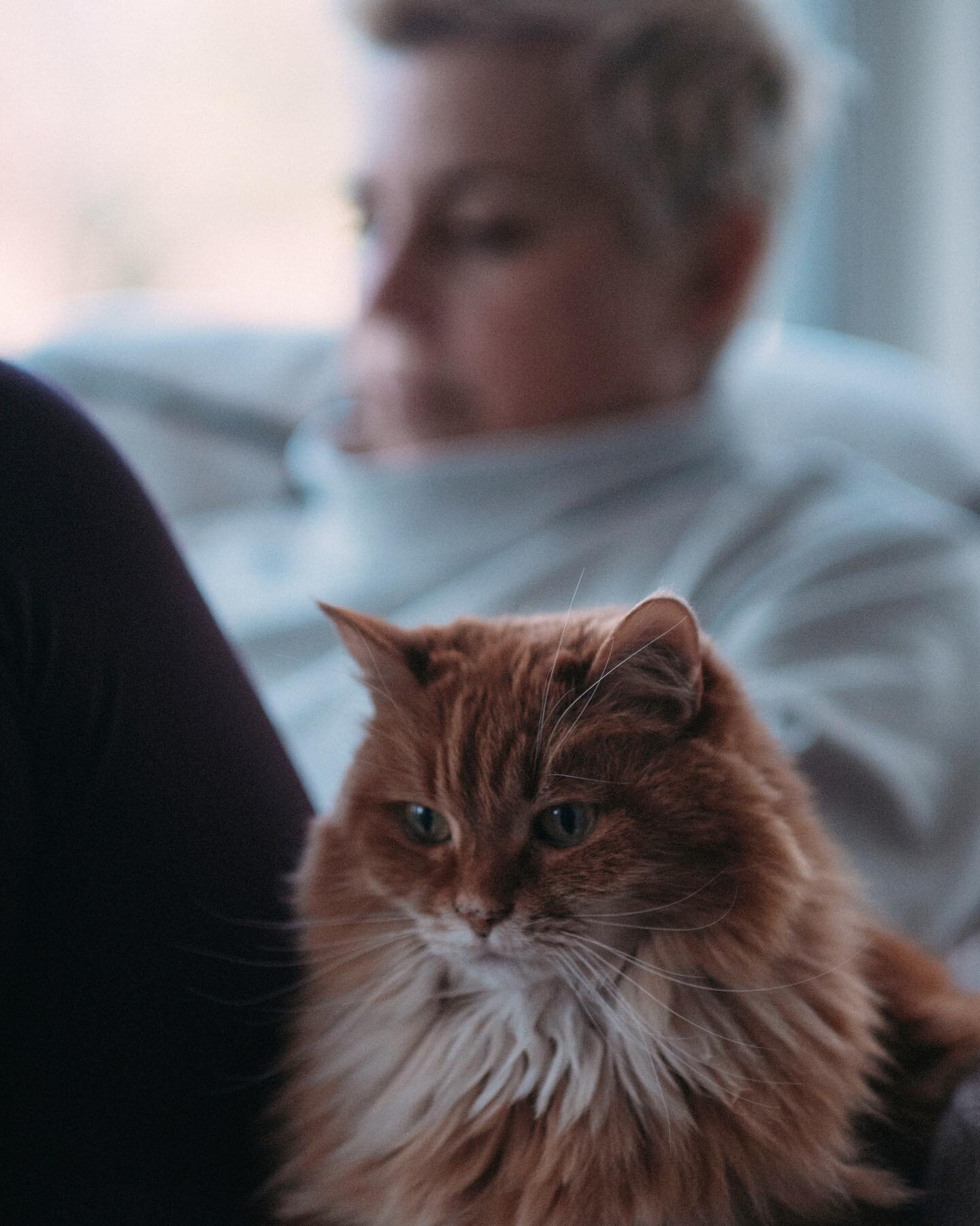 I&rsquo;ve neglected the grid all year. Here&rsquo;s a quiet moment with mom and her sentinel.