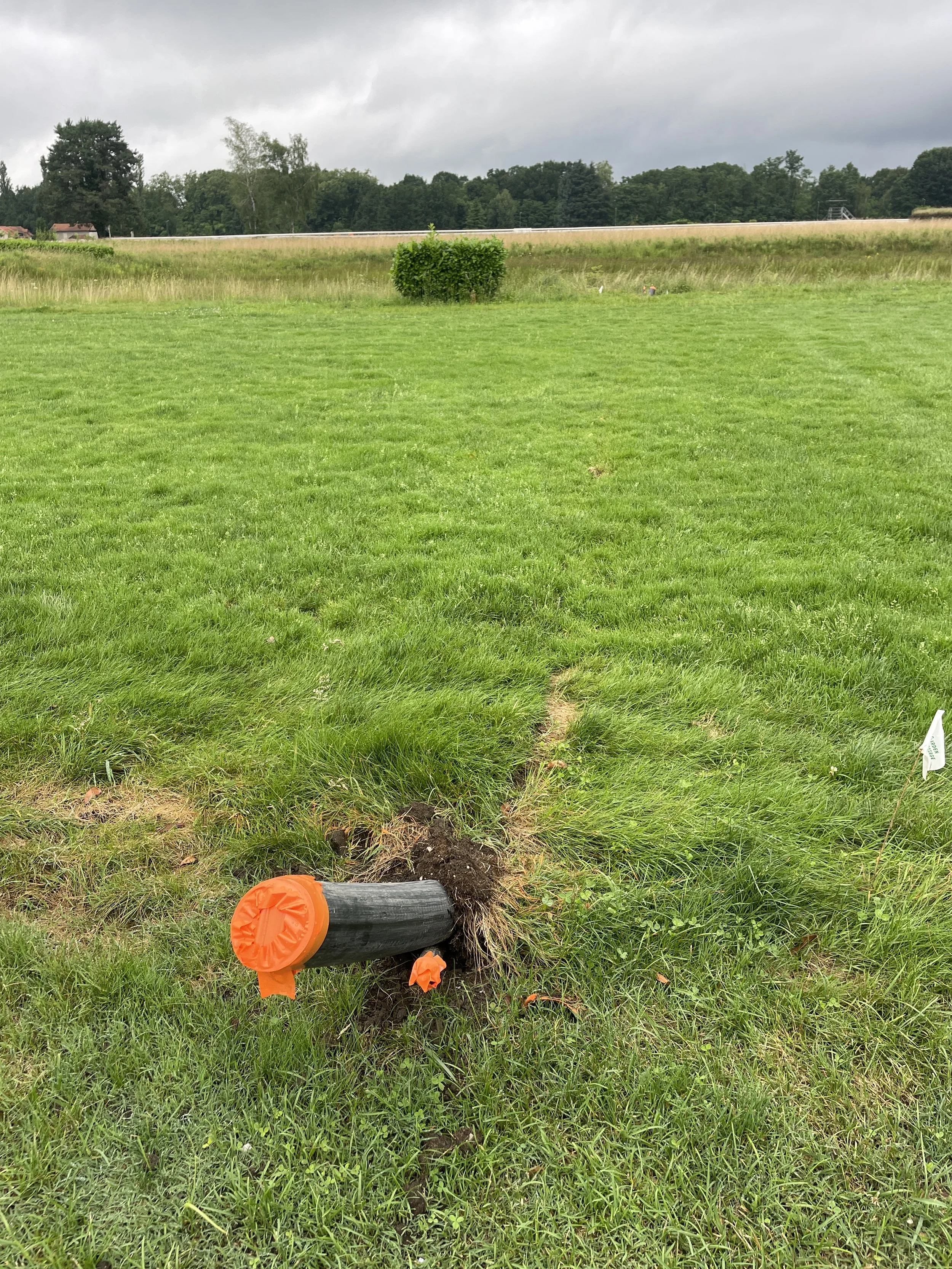 AC PEHD 110 hippodrome Pau.JPG