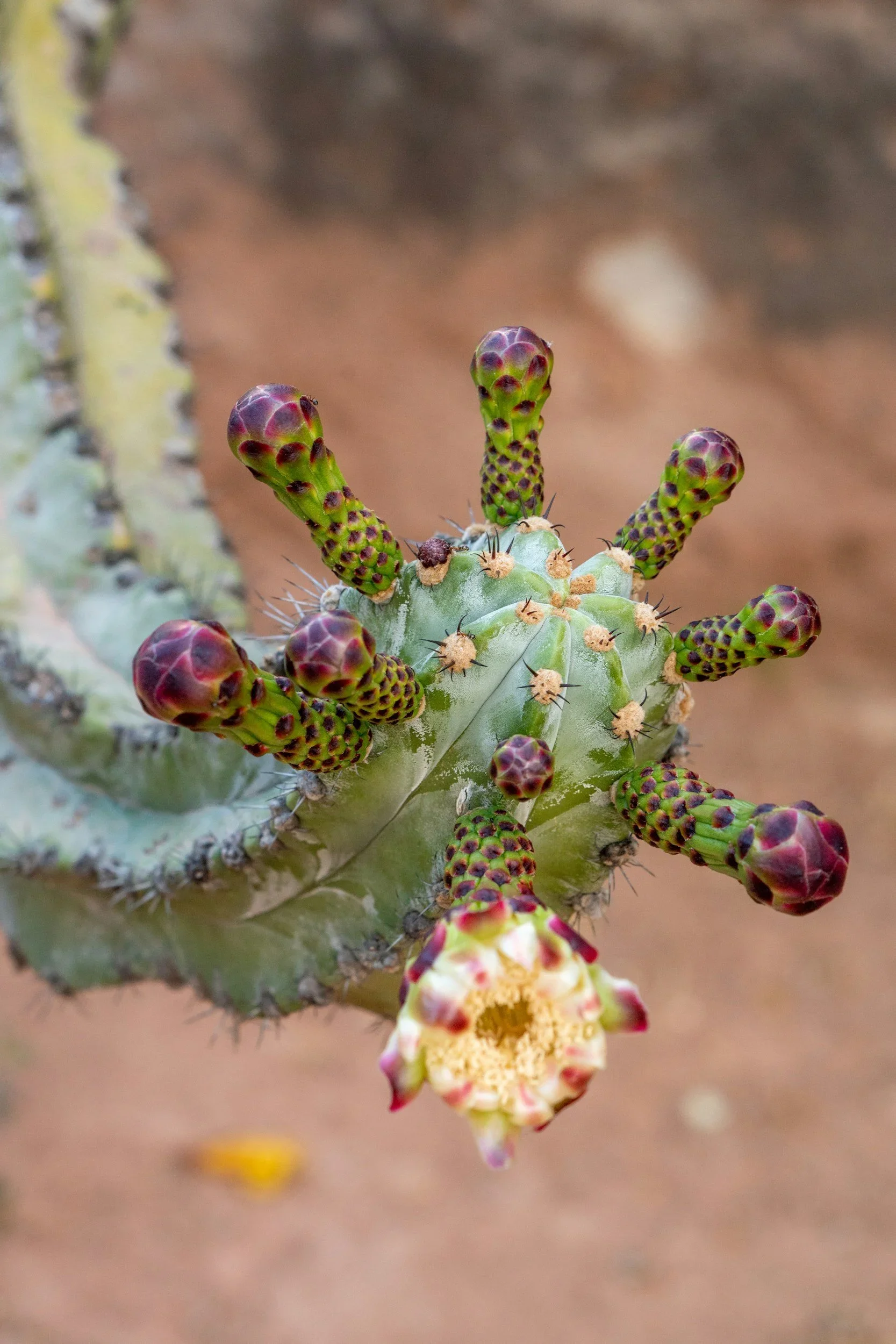 Bishop Hutterer: Living the Resurrection