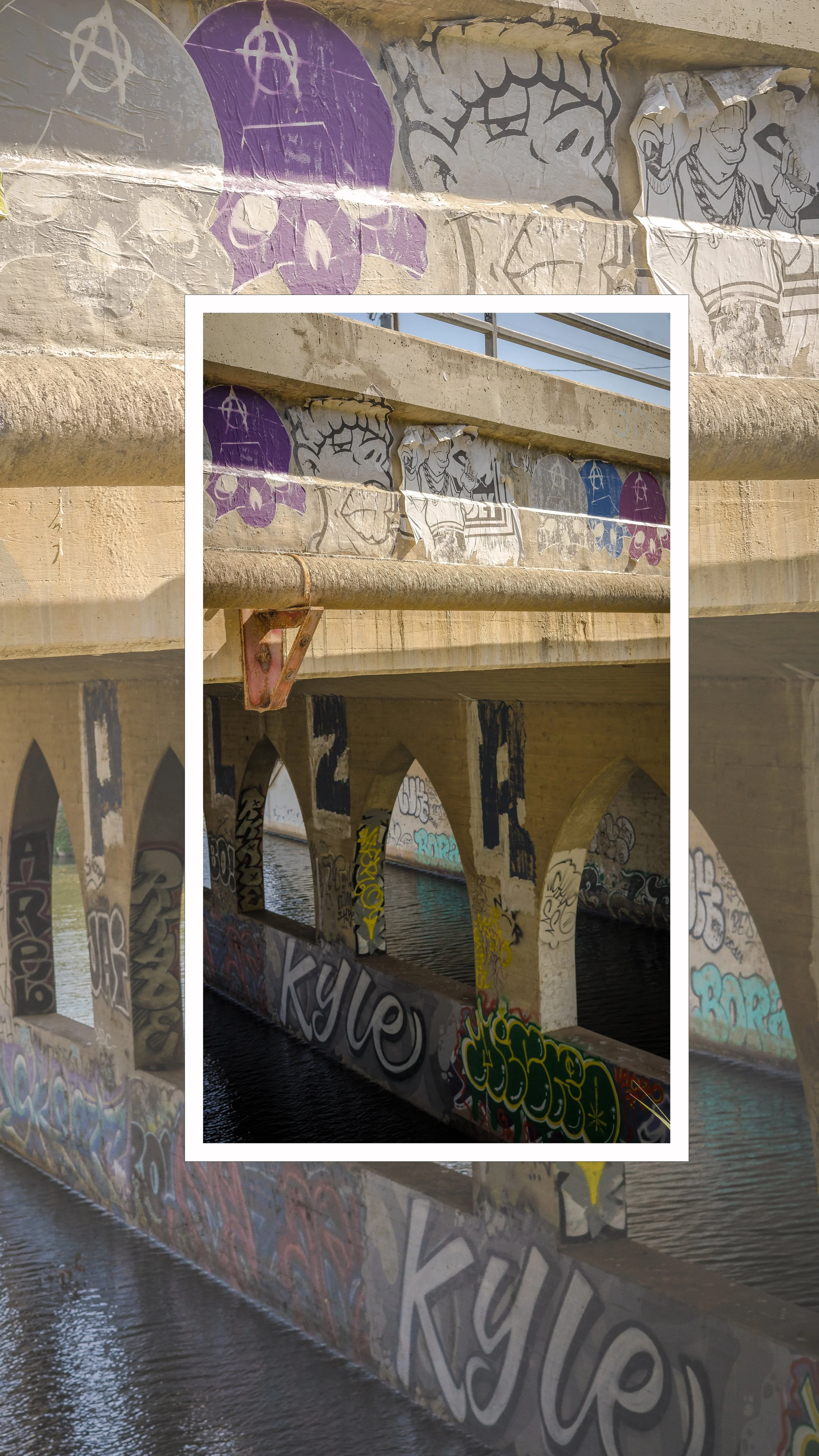 under the kyle.jpg