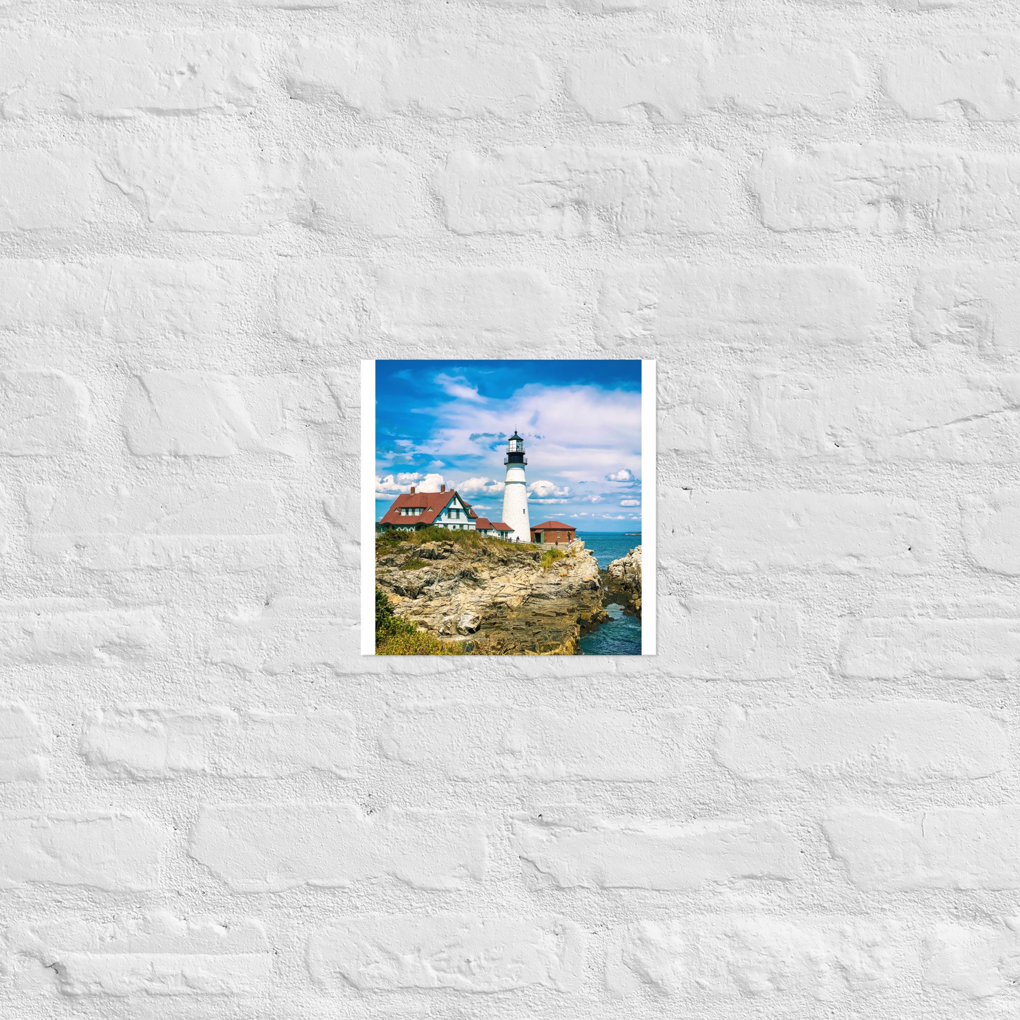 enhanced-matte-paper-poster-(in)-10x10-front-636cad5258000.jpg