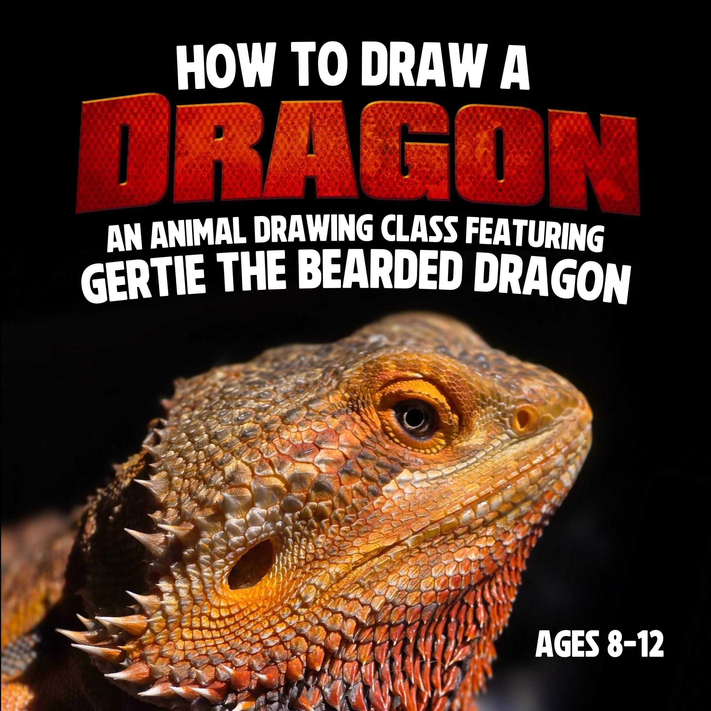 How to Draw a Dragon LIVE! (Oct 17)