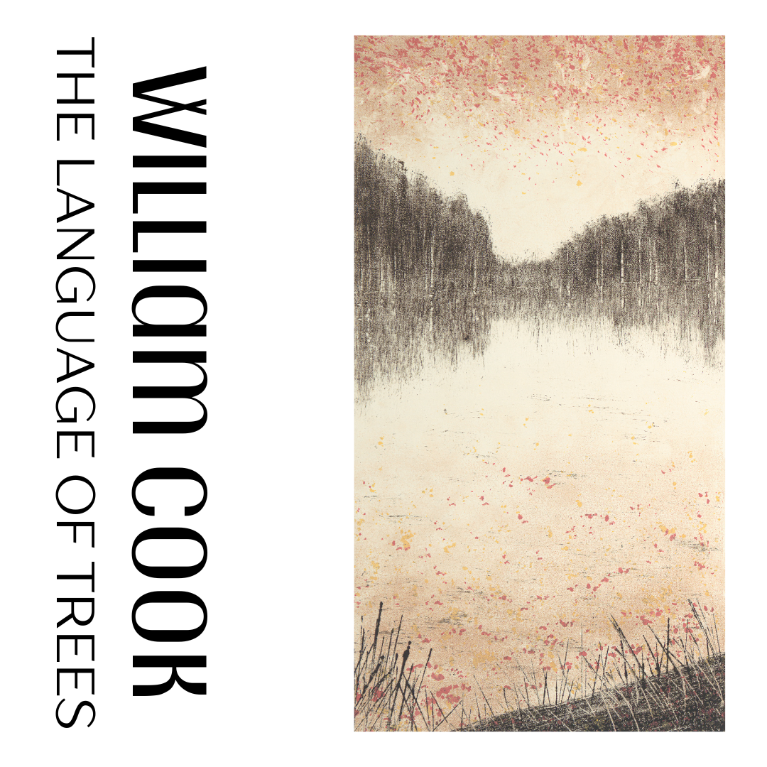 Gallery — HAPPY TIME STUDIO Guitar, Songwriting, Piano, Music, and