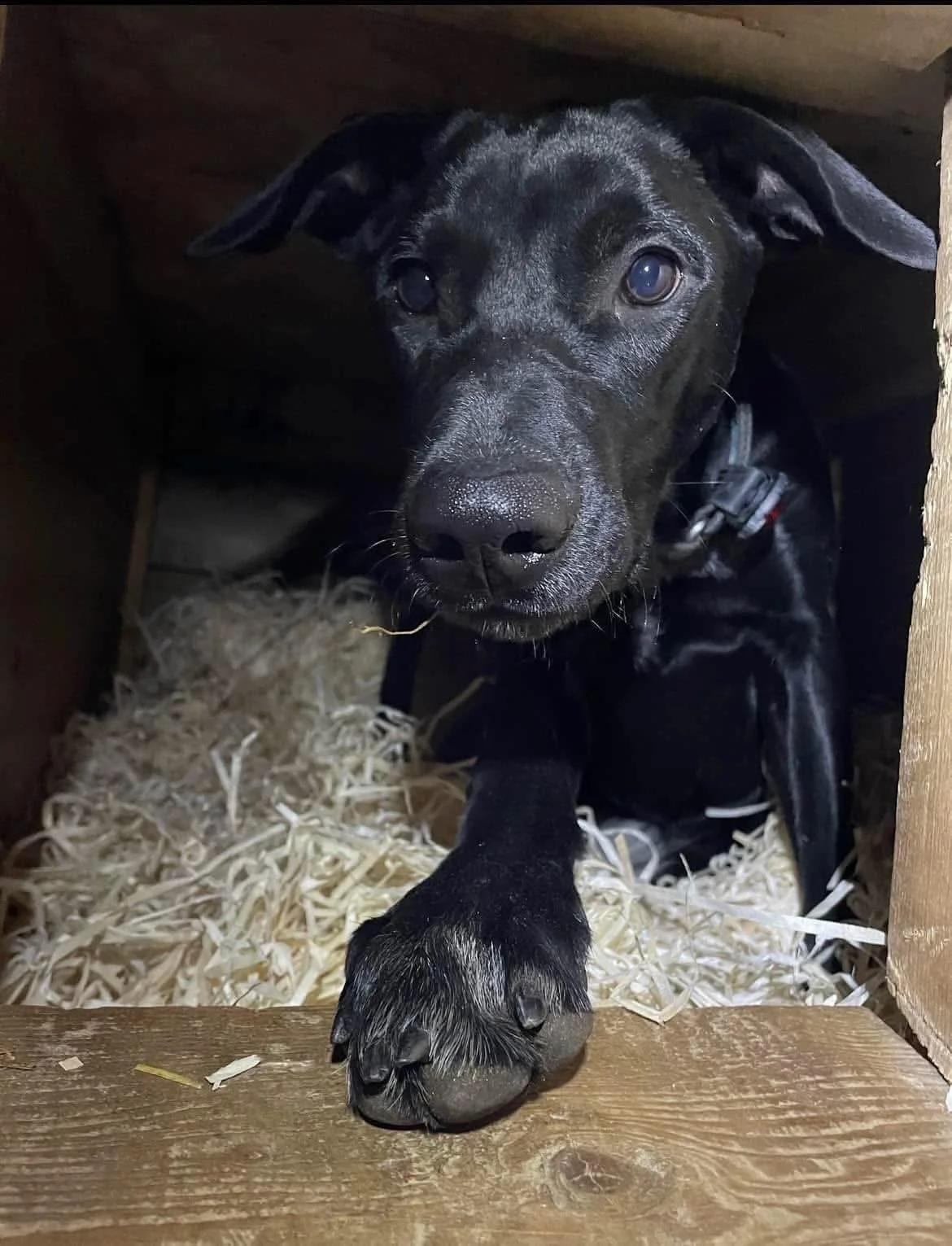 Treull KUN FYSISK BUTIKK