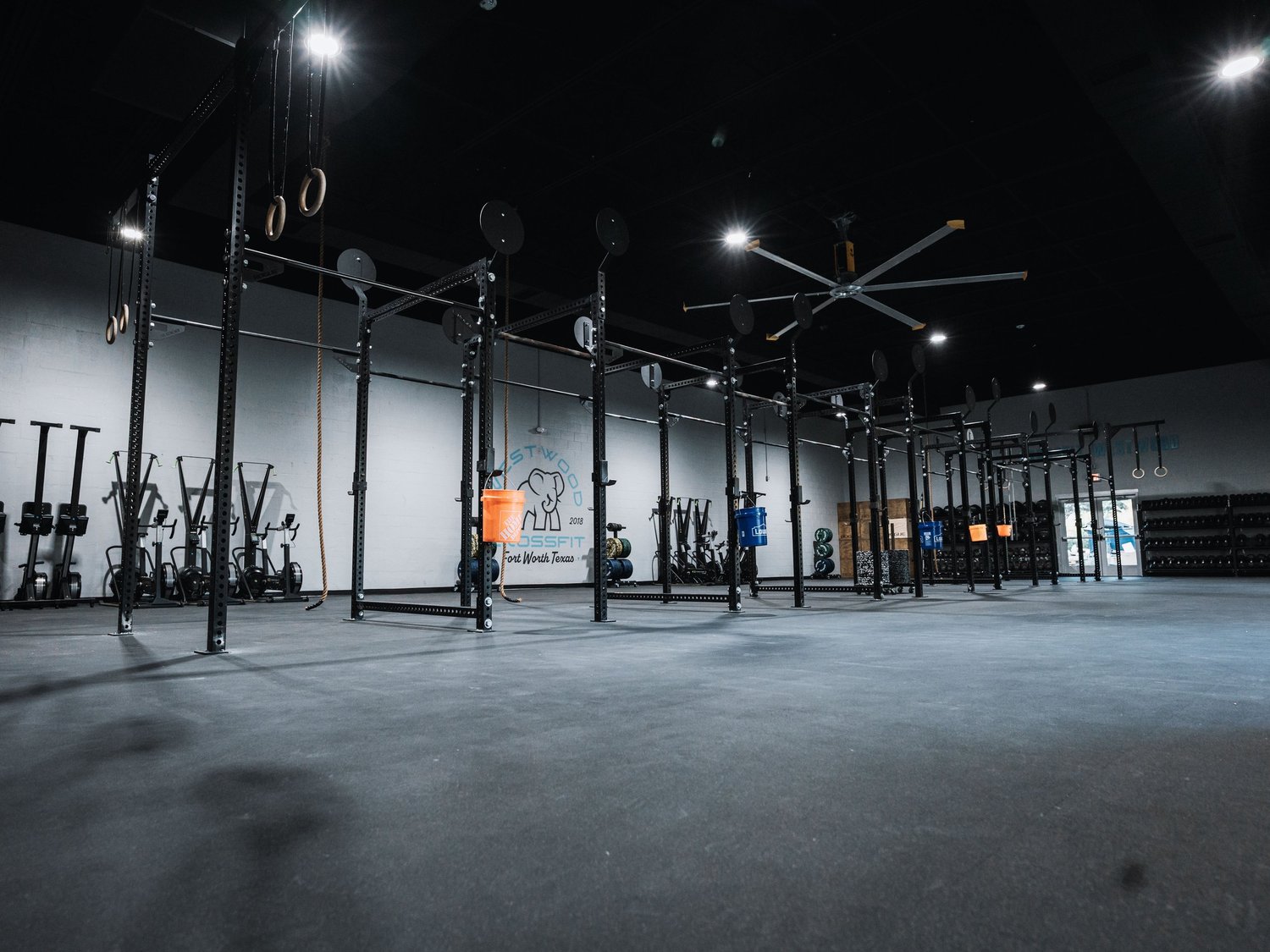 CrossFit Westwood training room with rigs and gymnastic rings