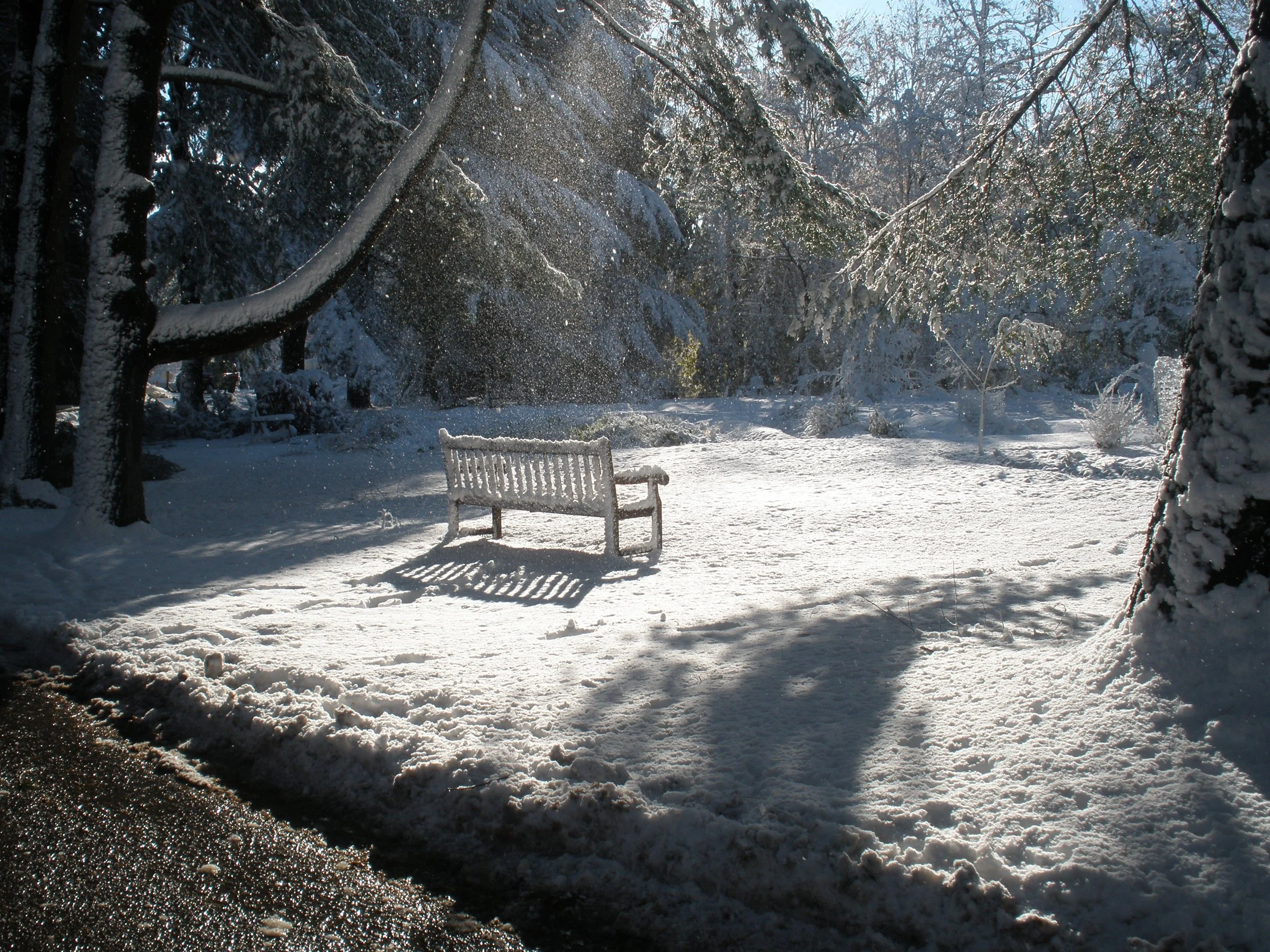 Snowy bench .jpg