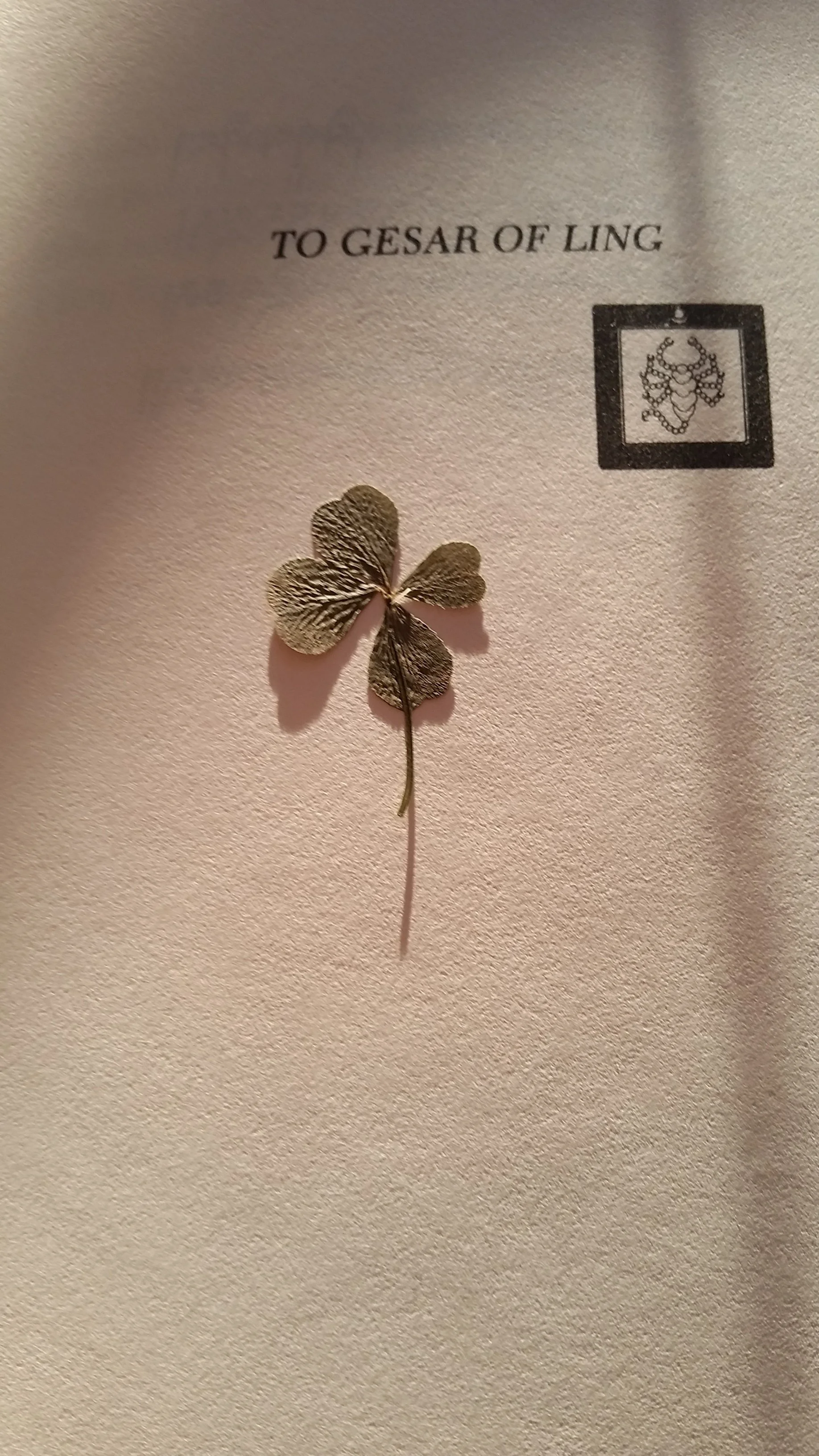 Four Leaf Clover_Library.jpg