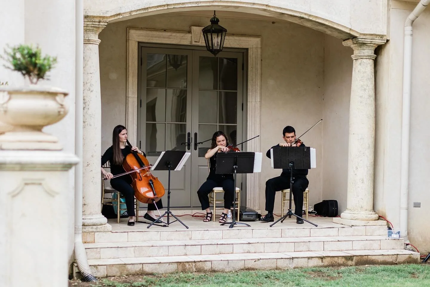 #weddingstrings #auburnal