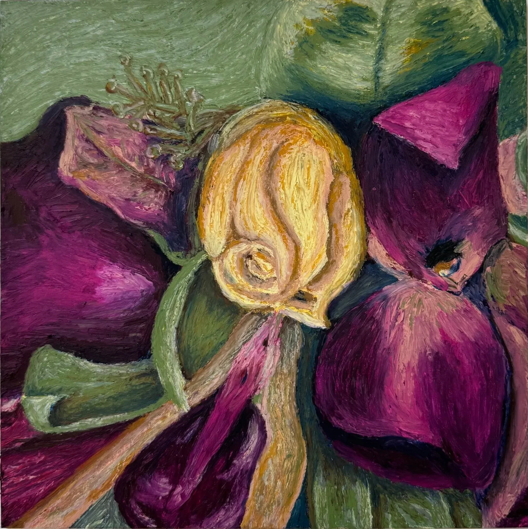 "Dried corsage"
2024,
oil pastel on Belgian linen mounted on panel,
10 x 10 inches