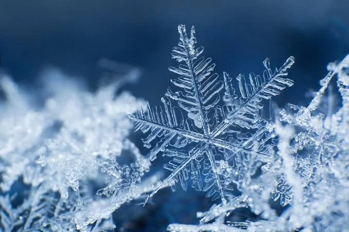 Winter Concert - Time TBD