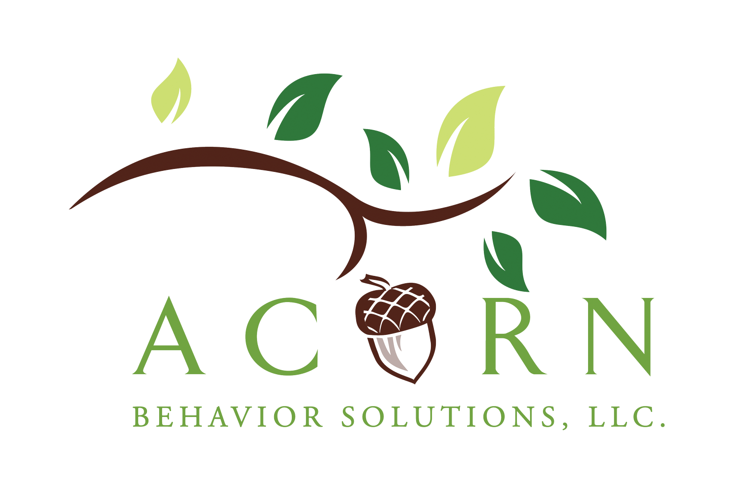 Acorn Behavior Solutions